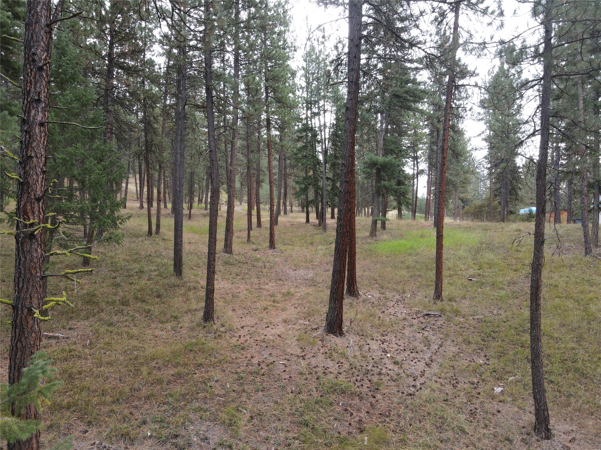 21481 Nine Mile Road Property Photo 24