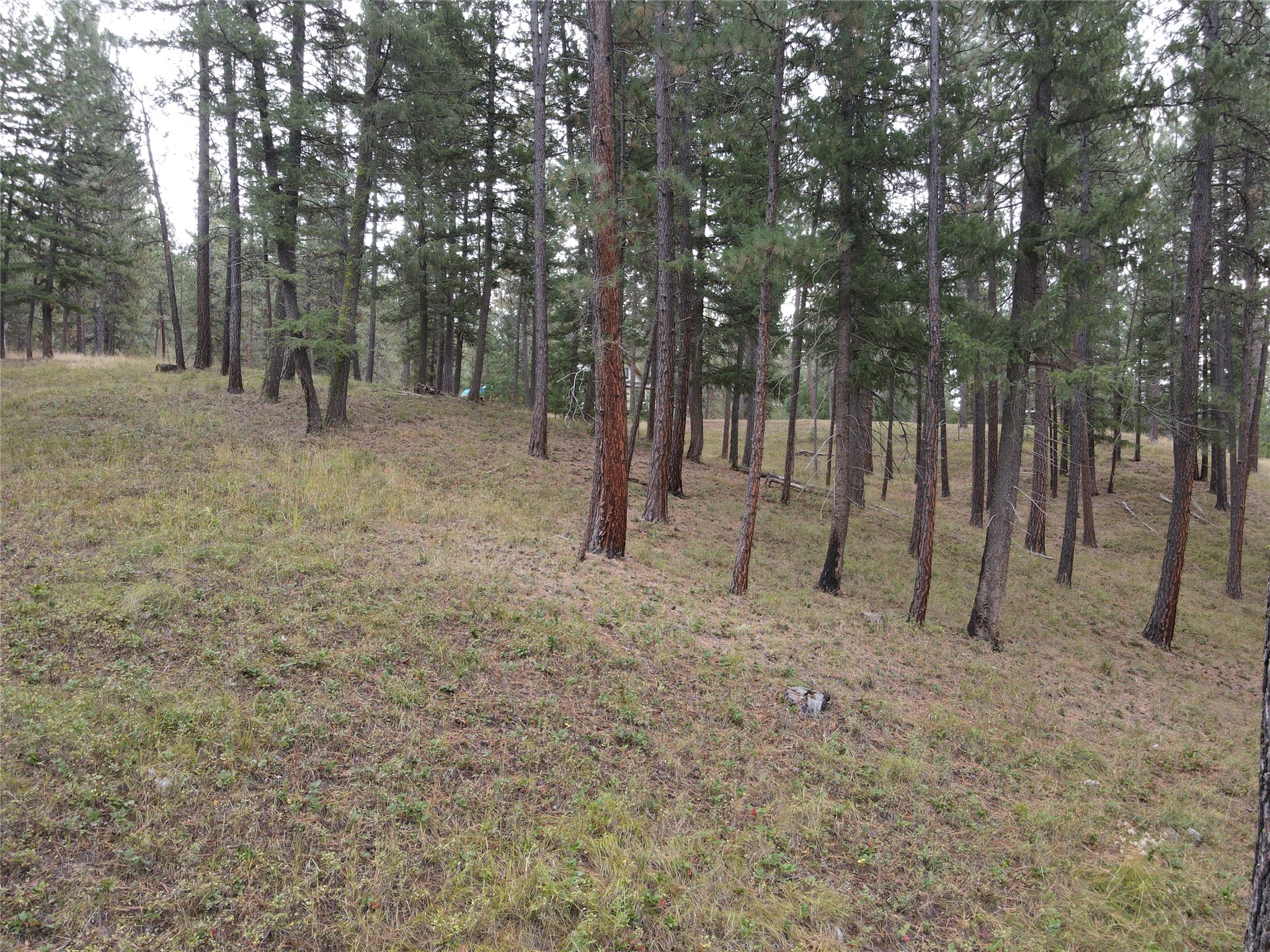 21481 Nine Mile Road Property Photo 25