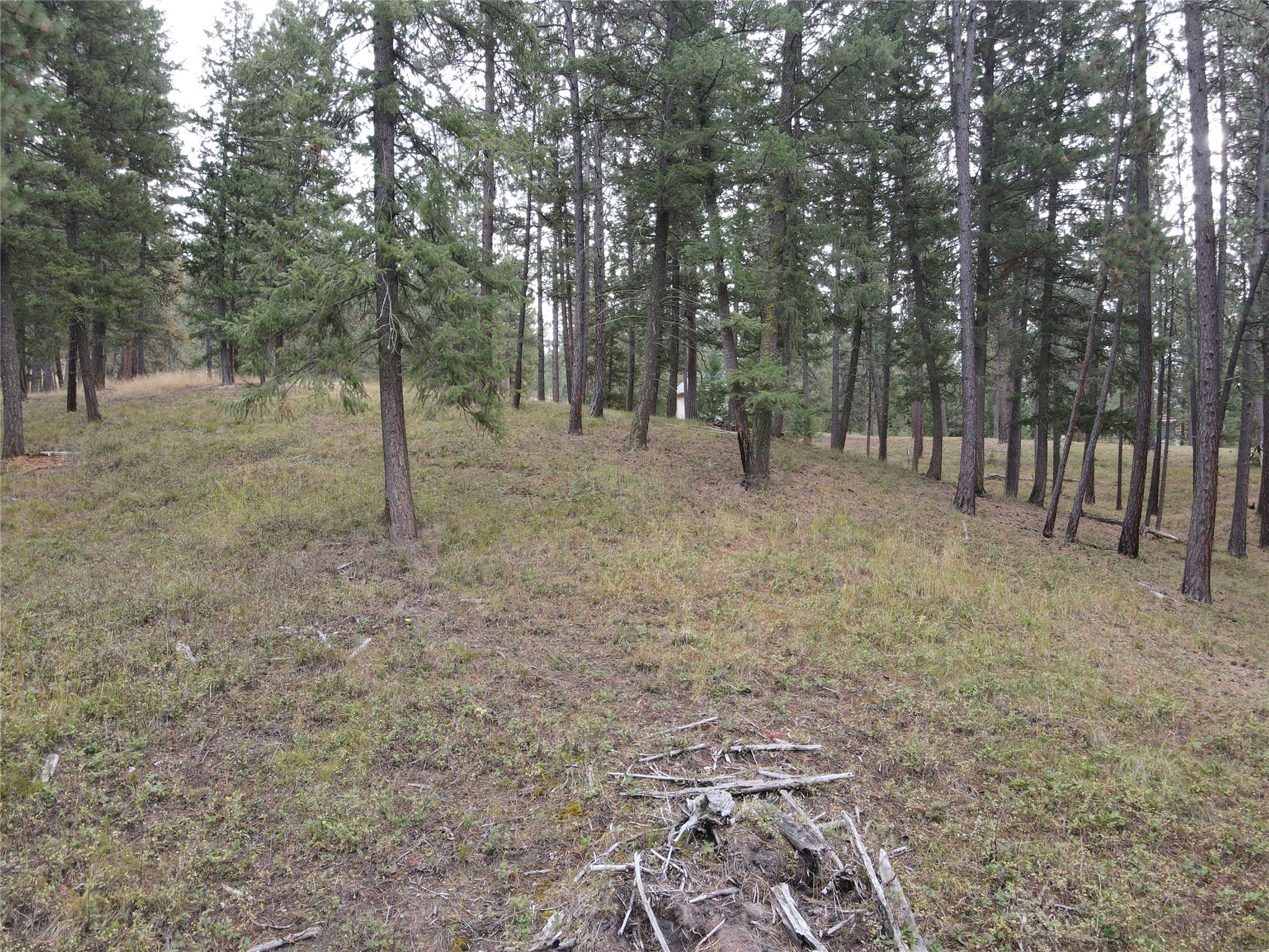 21481 Nine Mile Road Property Photo 26