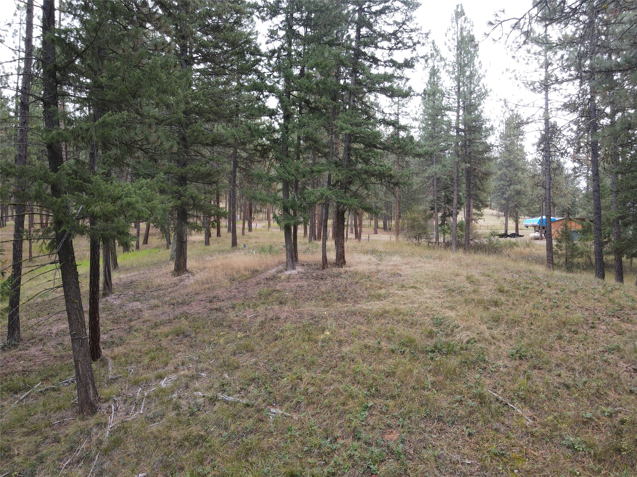 21481 Nine Mile Road Property Photo 27