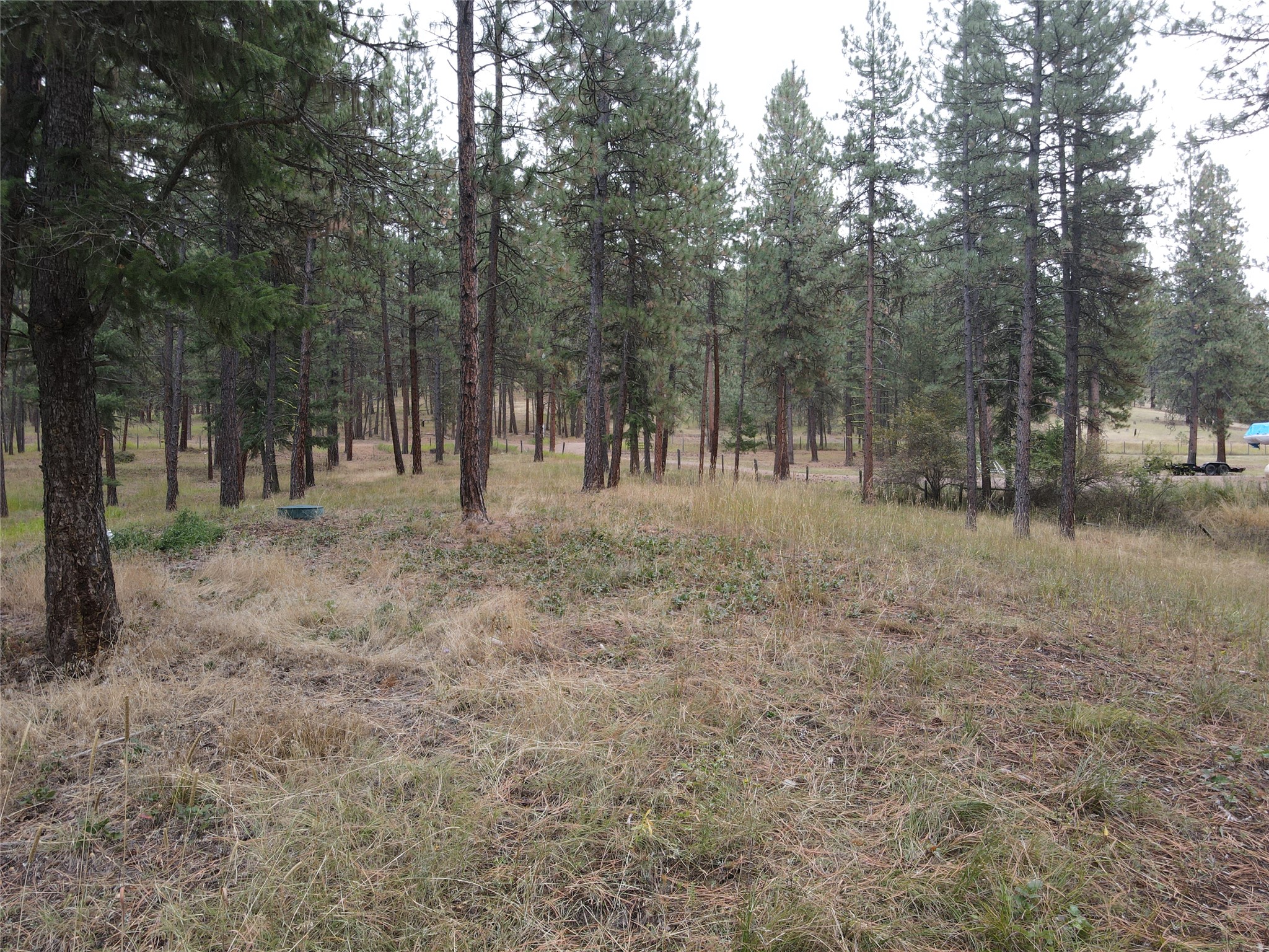 21481 Nine Mile Road Property Photo 28