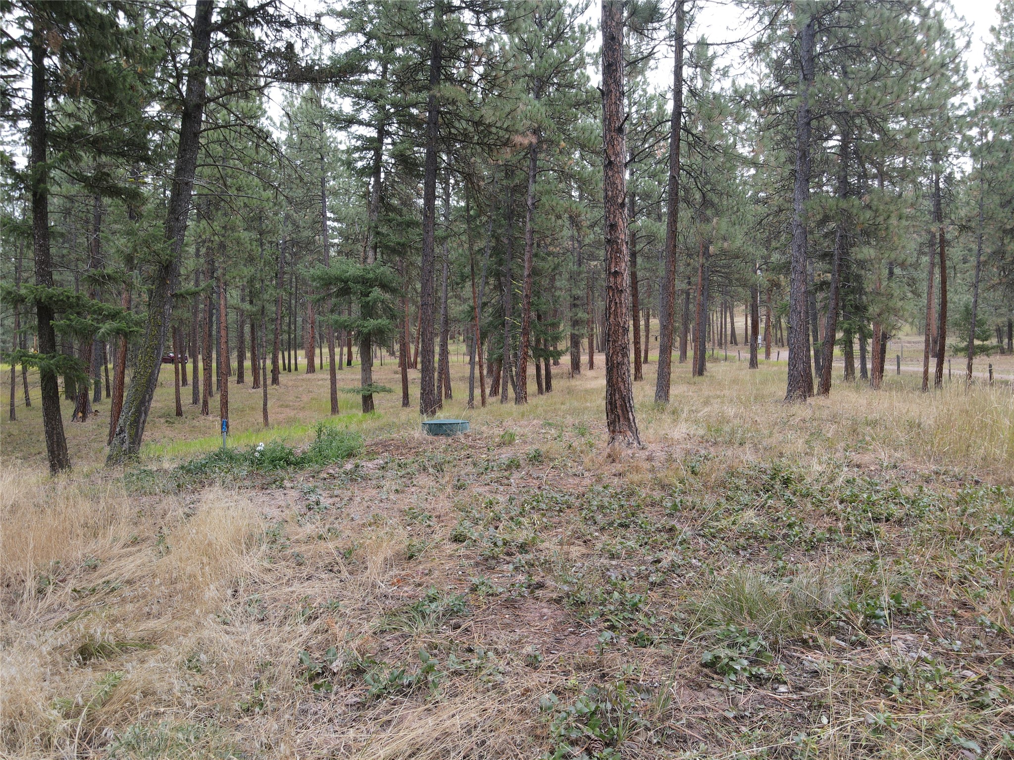21481 Nine Mile Road Property Photo 29