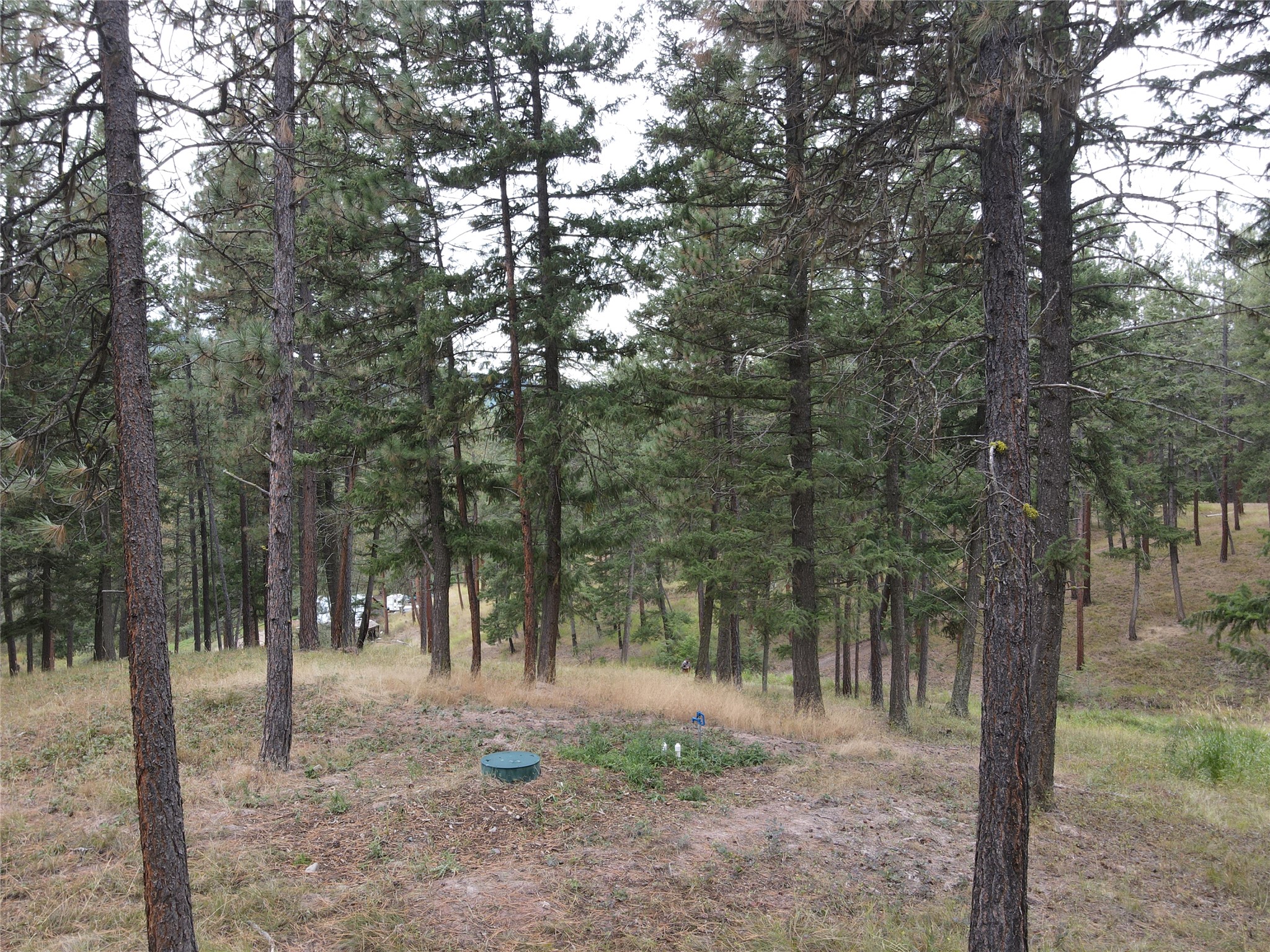 21481 Nine Mile Road Property Photo 30