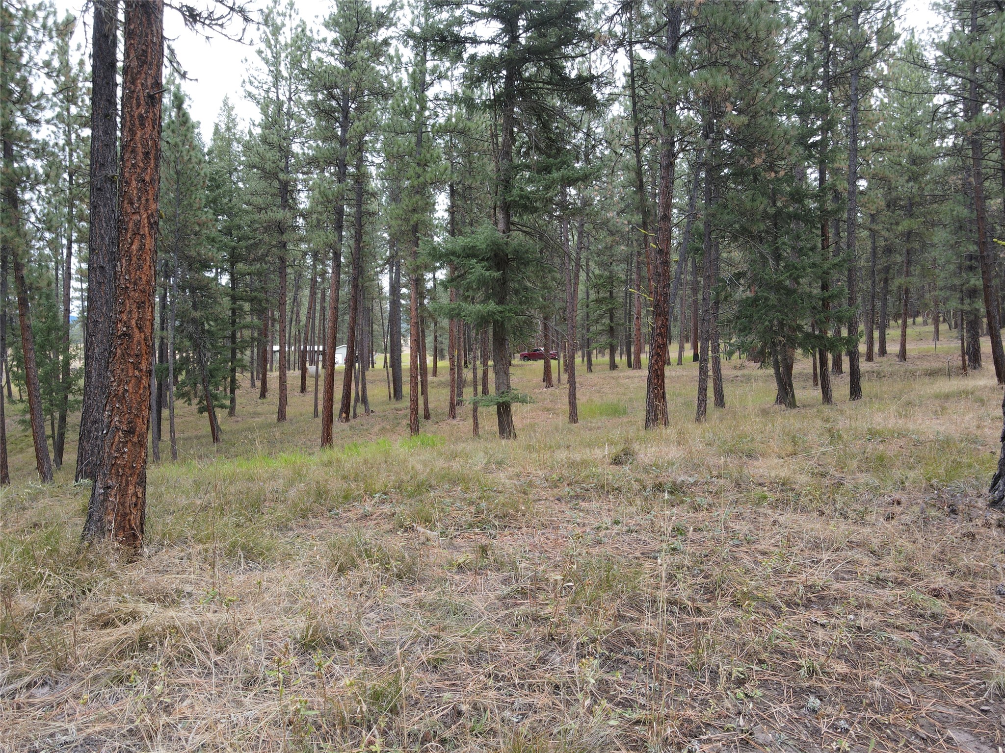 21481 Nine Mile Road Property Photo 31
