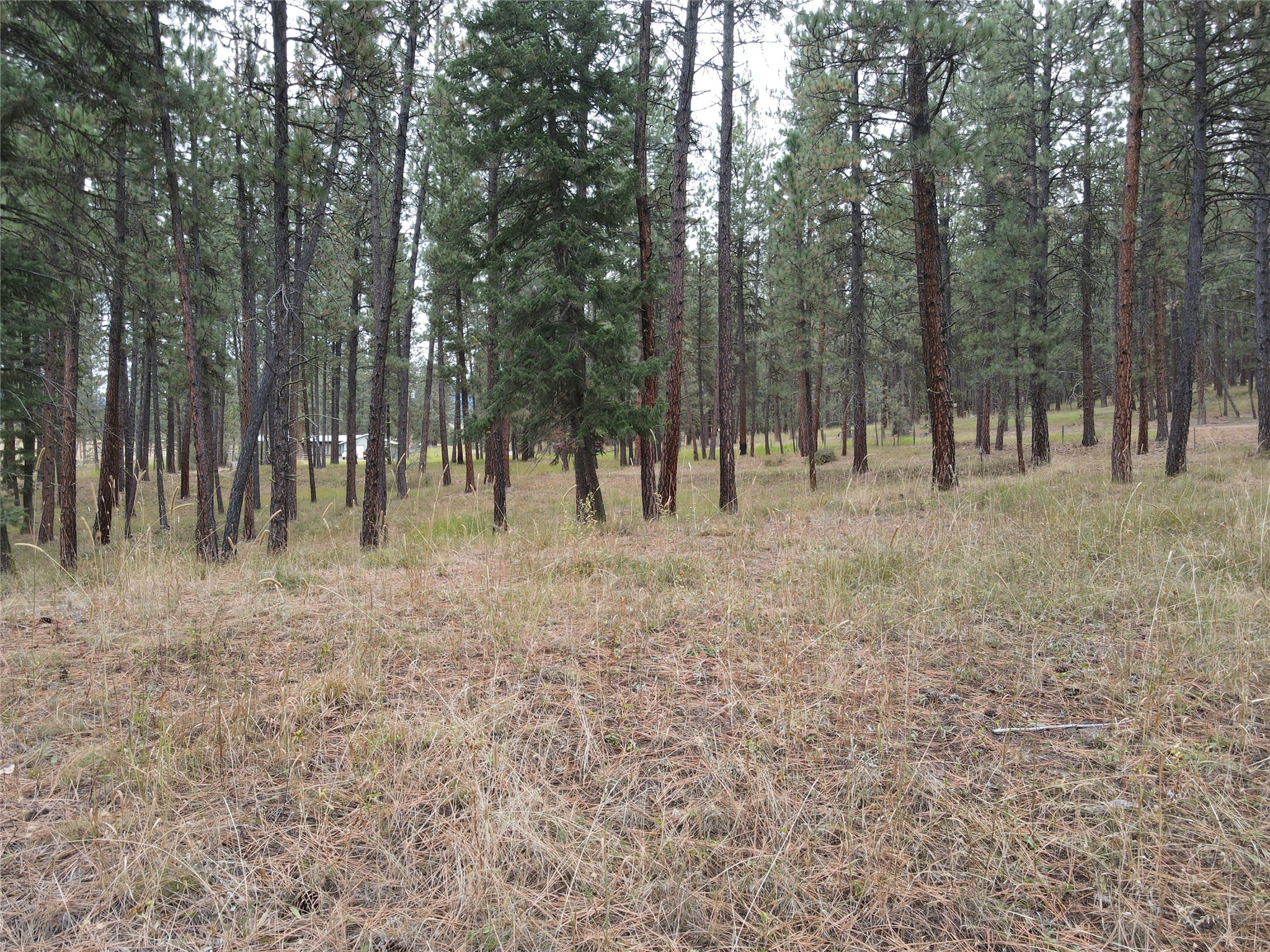 21481 Nine Mile Road Property Photo 32