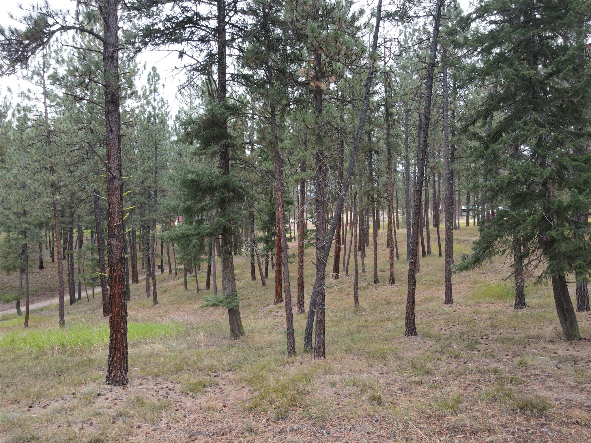 21481 Nine Mile Road Property Photo 33