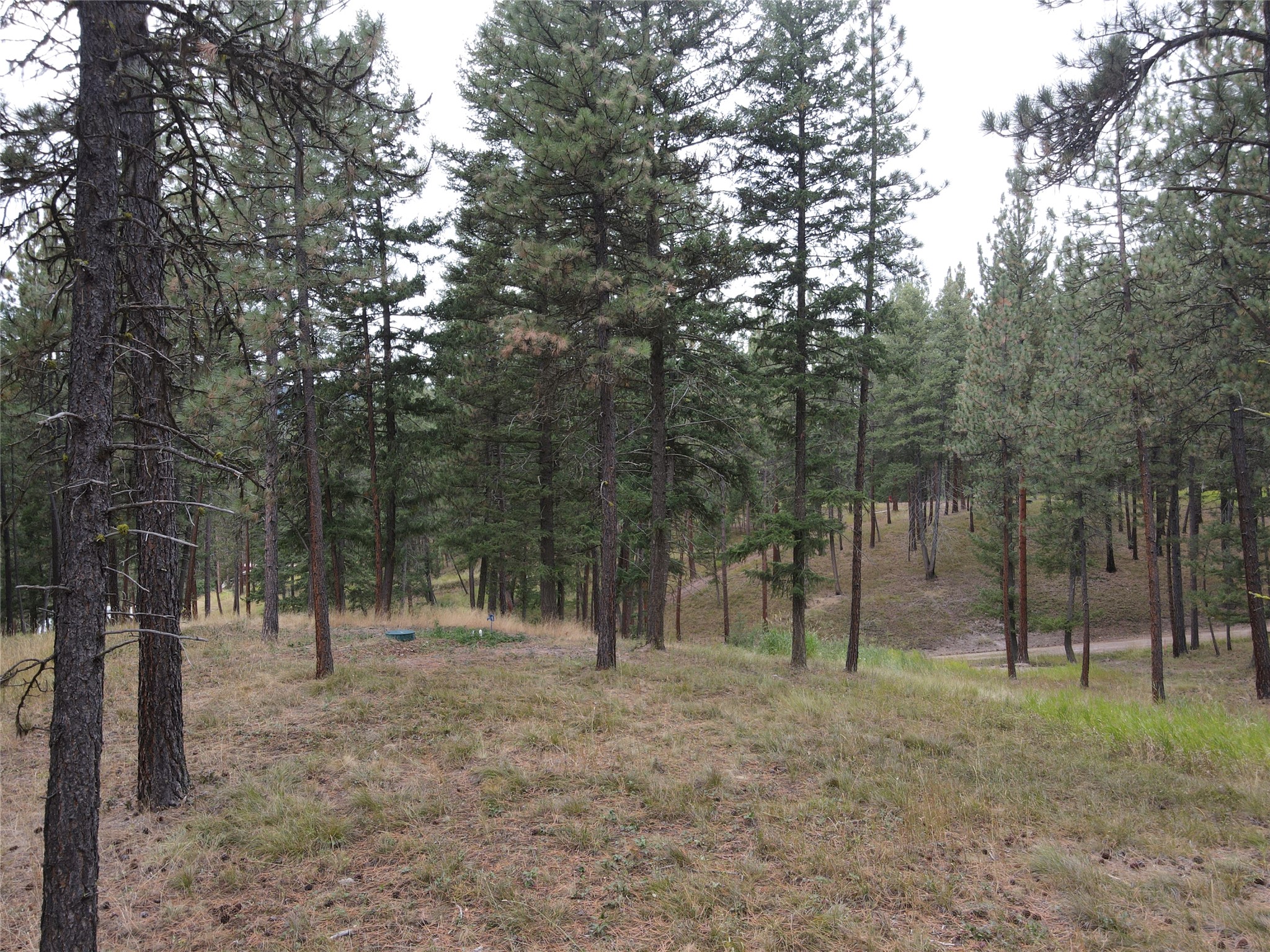 21481 Nine Mile Road Property Photo 34