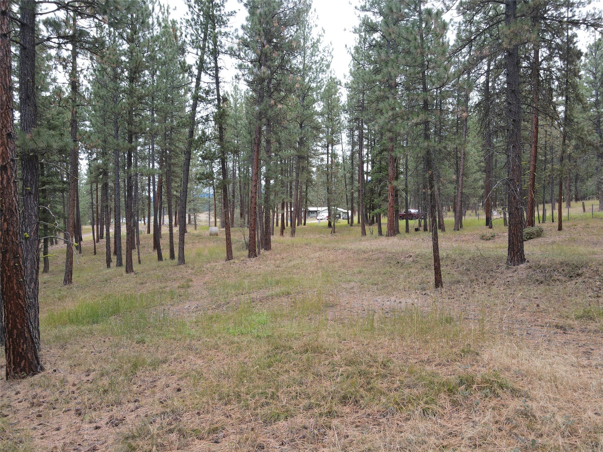 21481 Nine Mile Road Property Photo 35