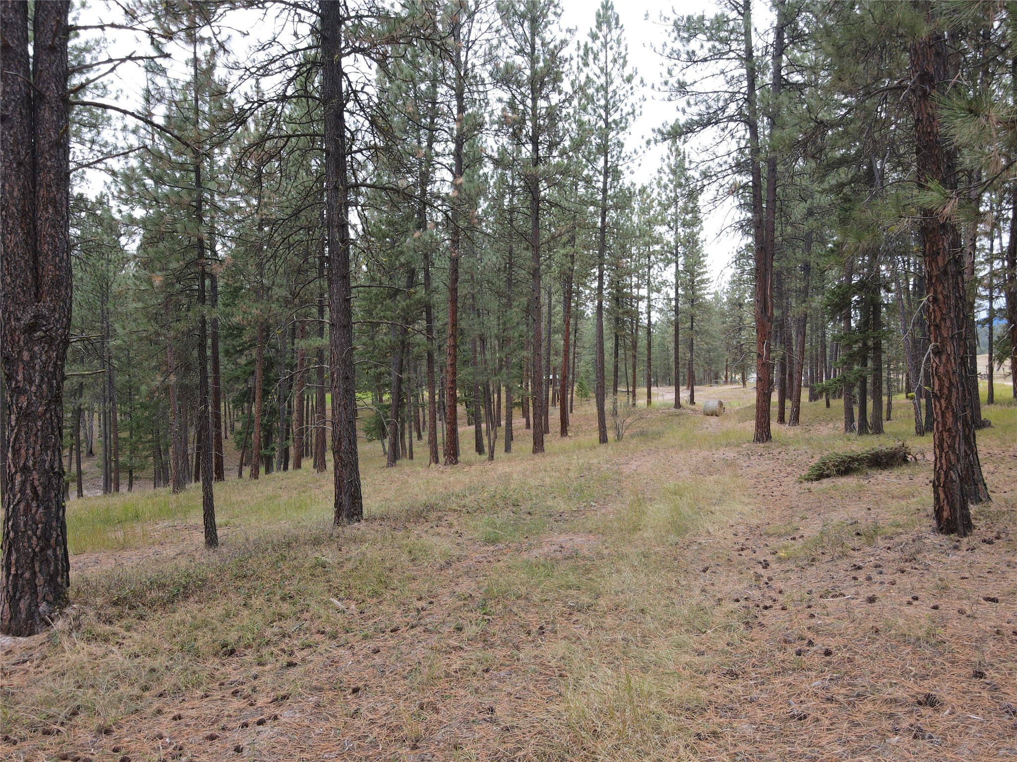 21481 Nine Mile Road Property Photo 36