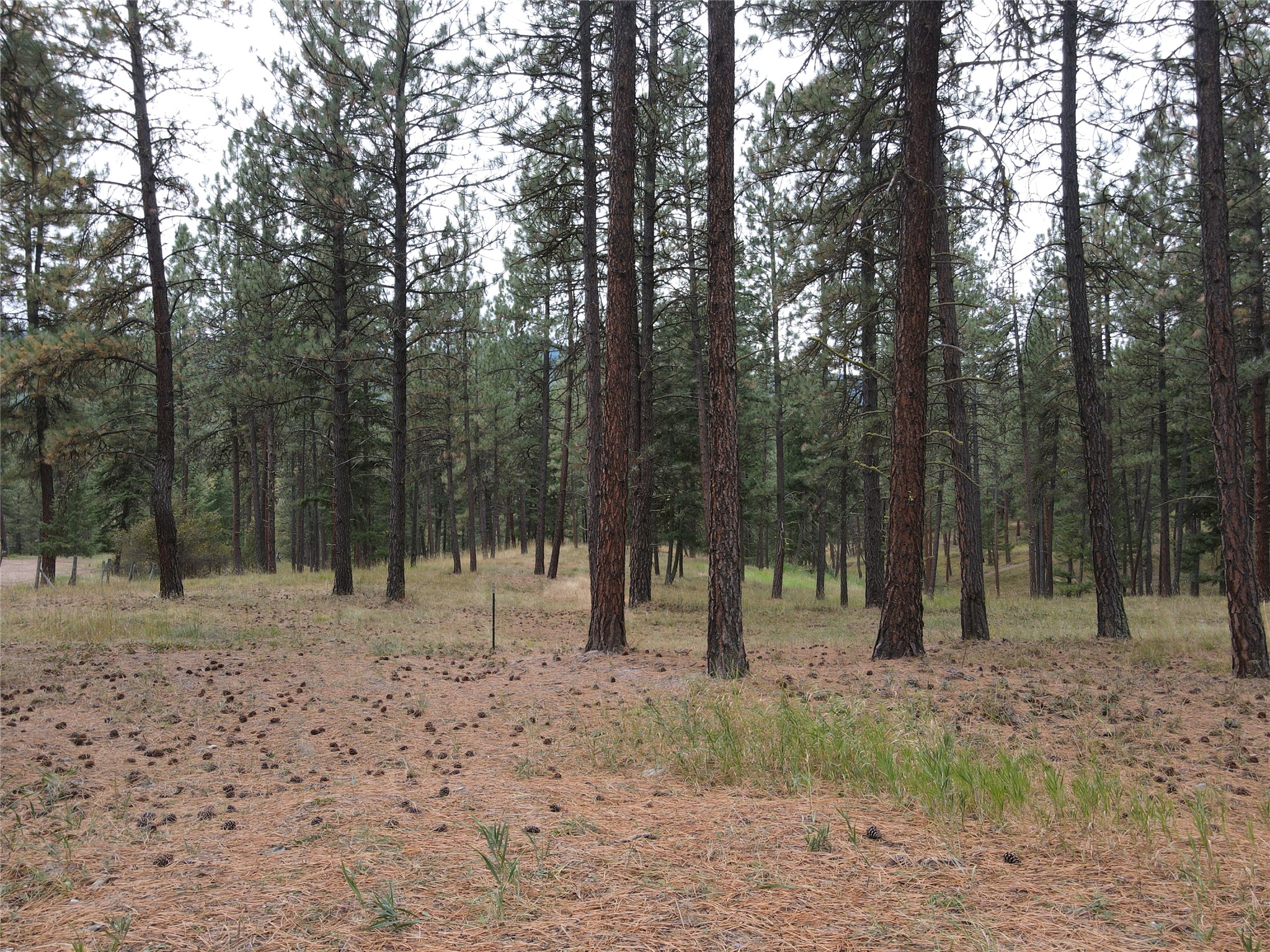 21481 Nine Mile Road Property Photo 37