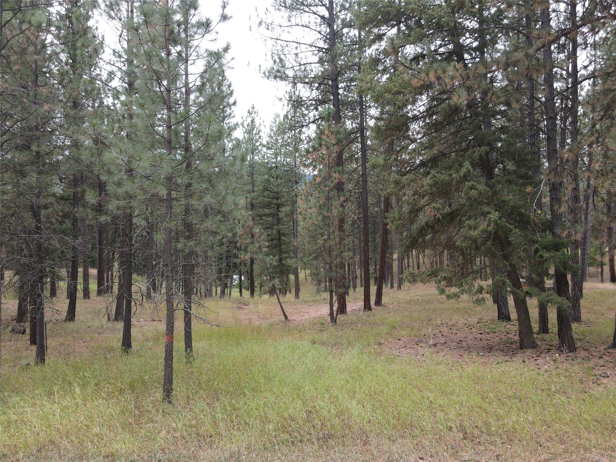21481 Nine Mile Road Property Photo 38