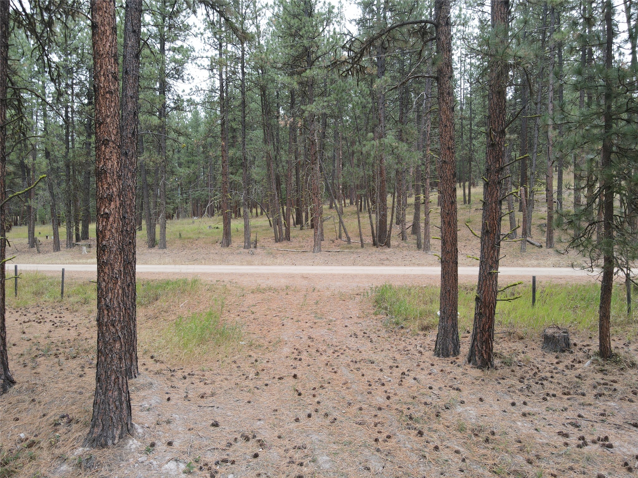 21481 Nine Mile Road Property Photo 39