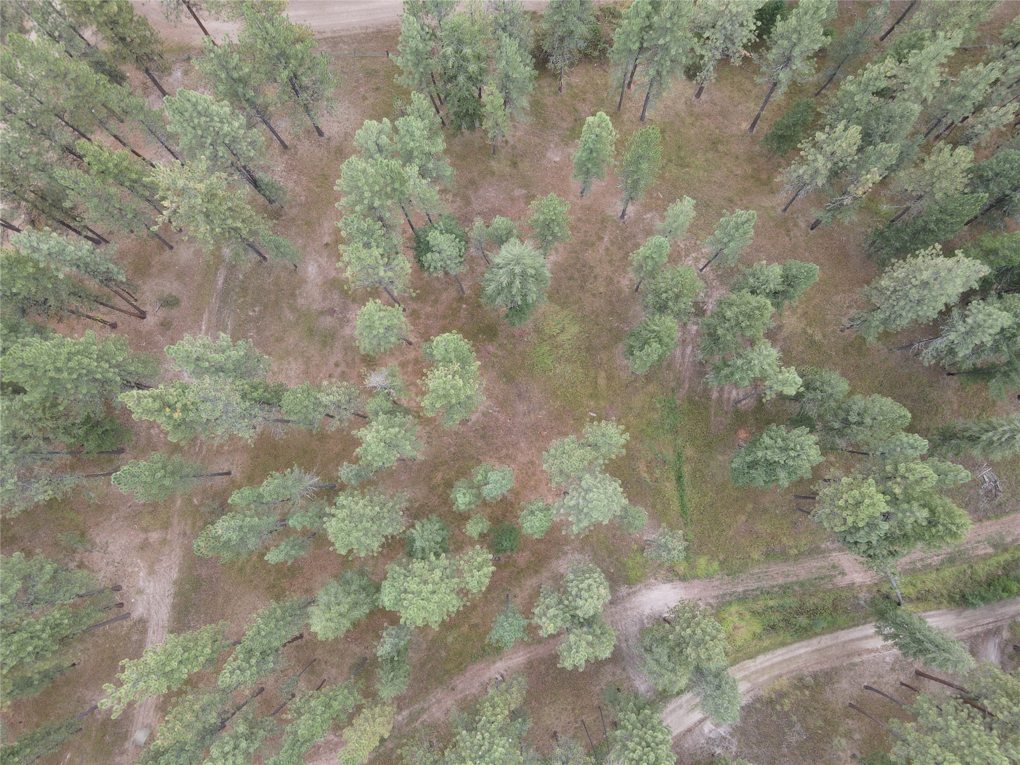 21481 Nine Mile Road Property Photo 40