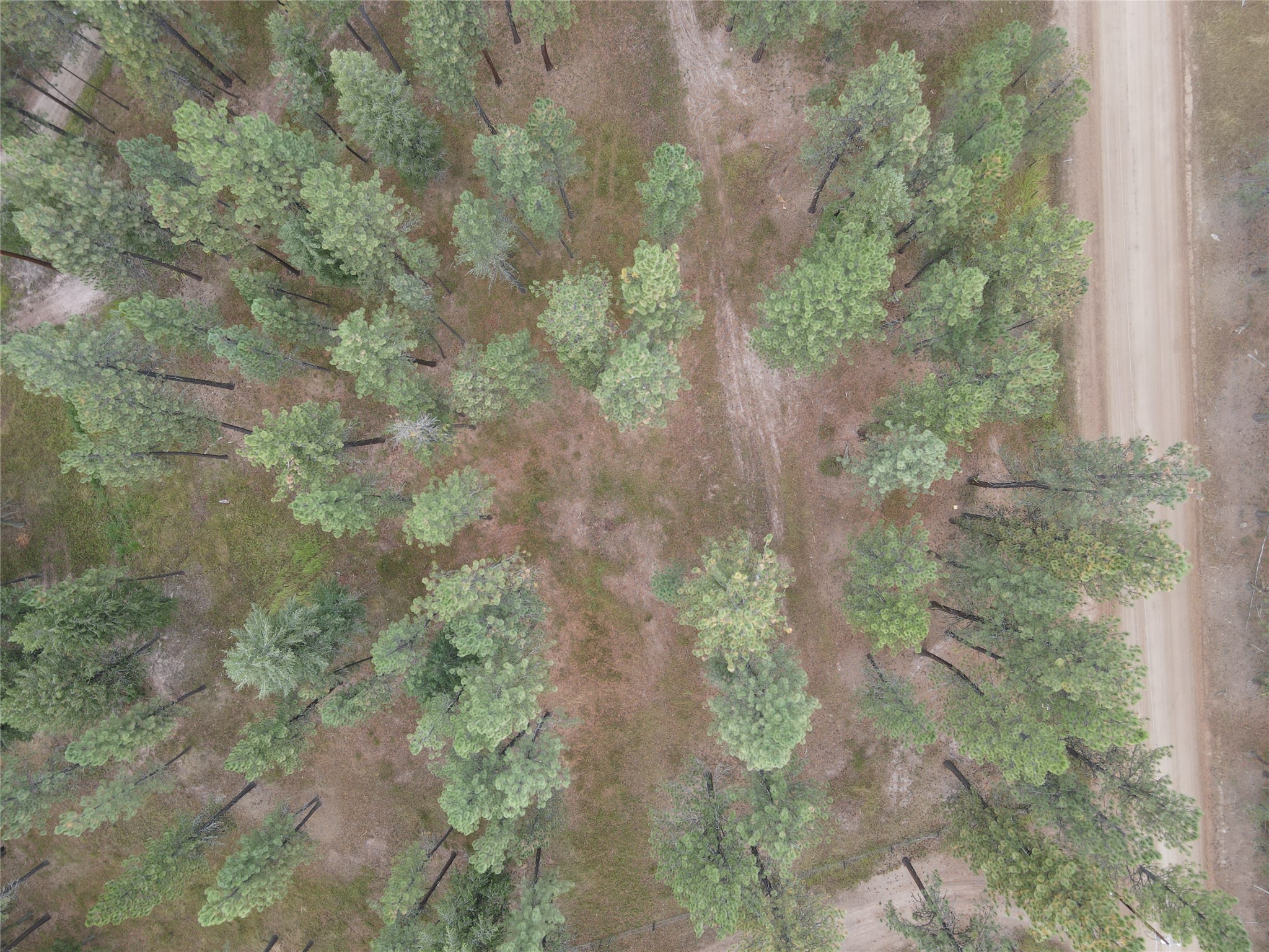 21481 Nine Mile Road Property Photo 43