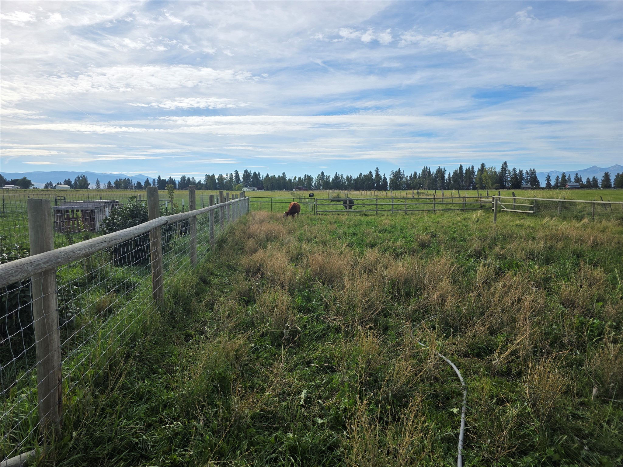 779 Hollibaugh Road Property Photo 40
