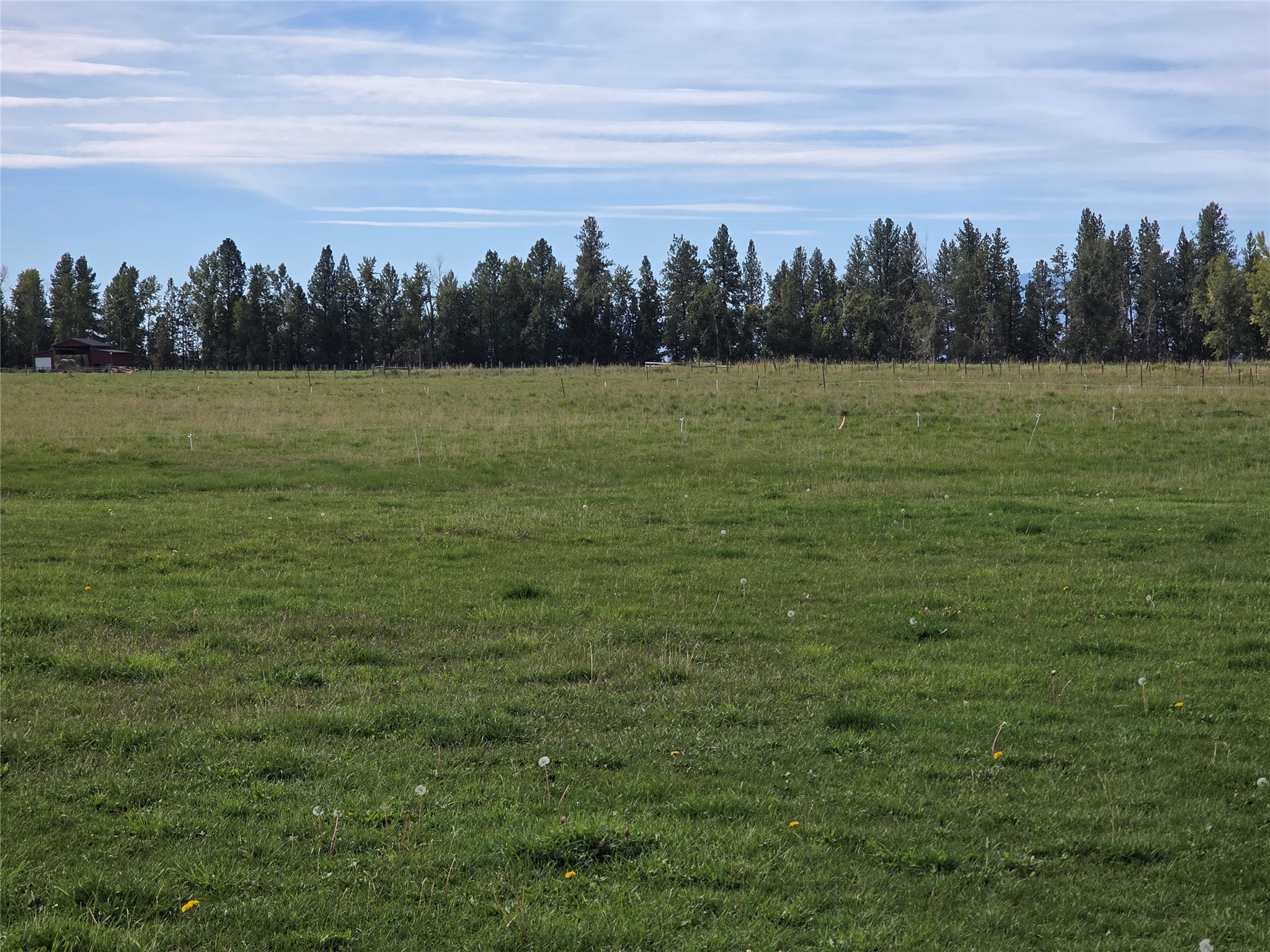 779 Hollibaugh Road Property Photo 46