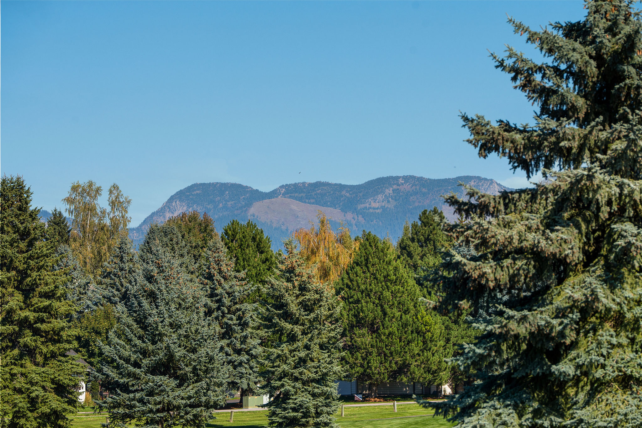 209 Bridger Drive Property Photo 46