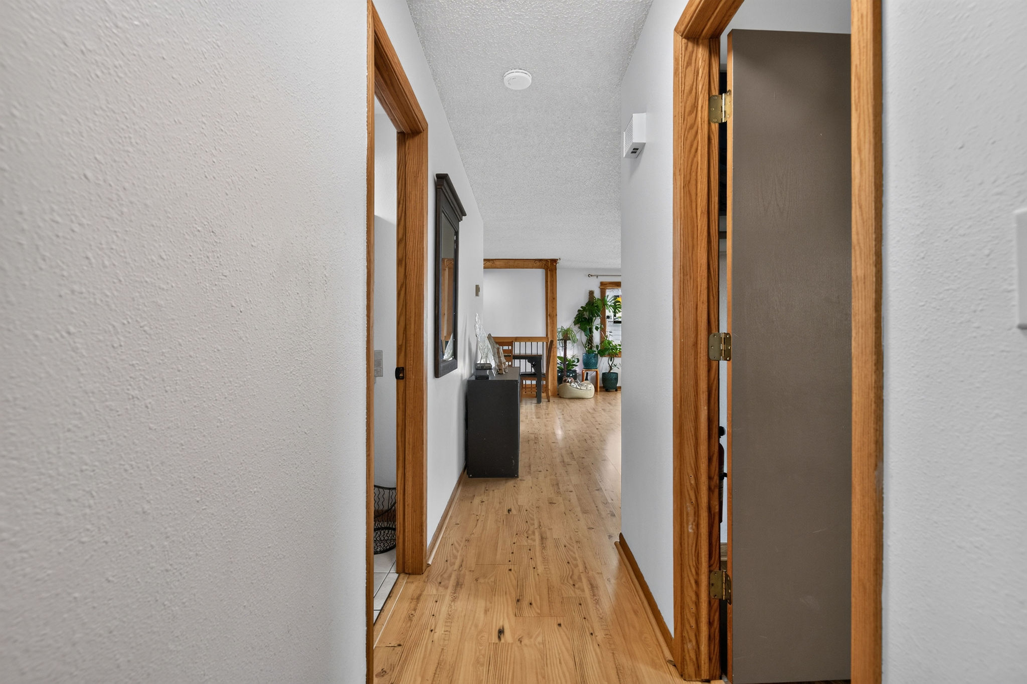 424 Cactus Road Property Photo 15