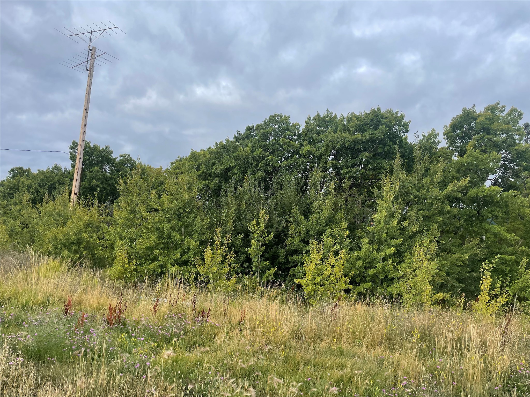 3487 Highway 89 W Property Photo 1