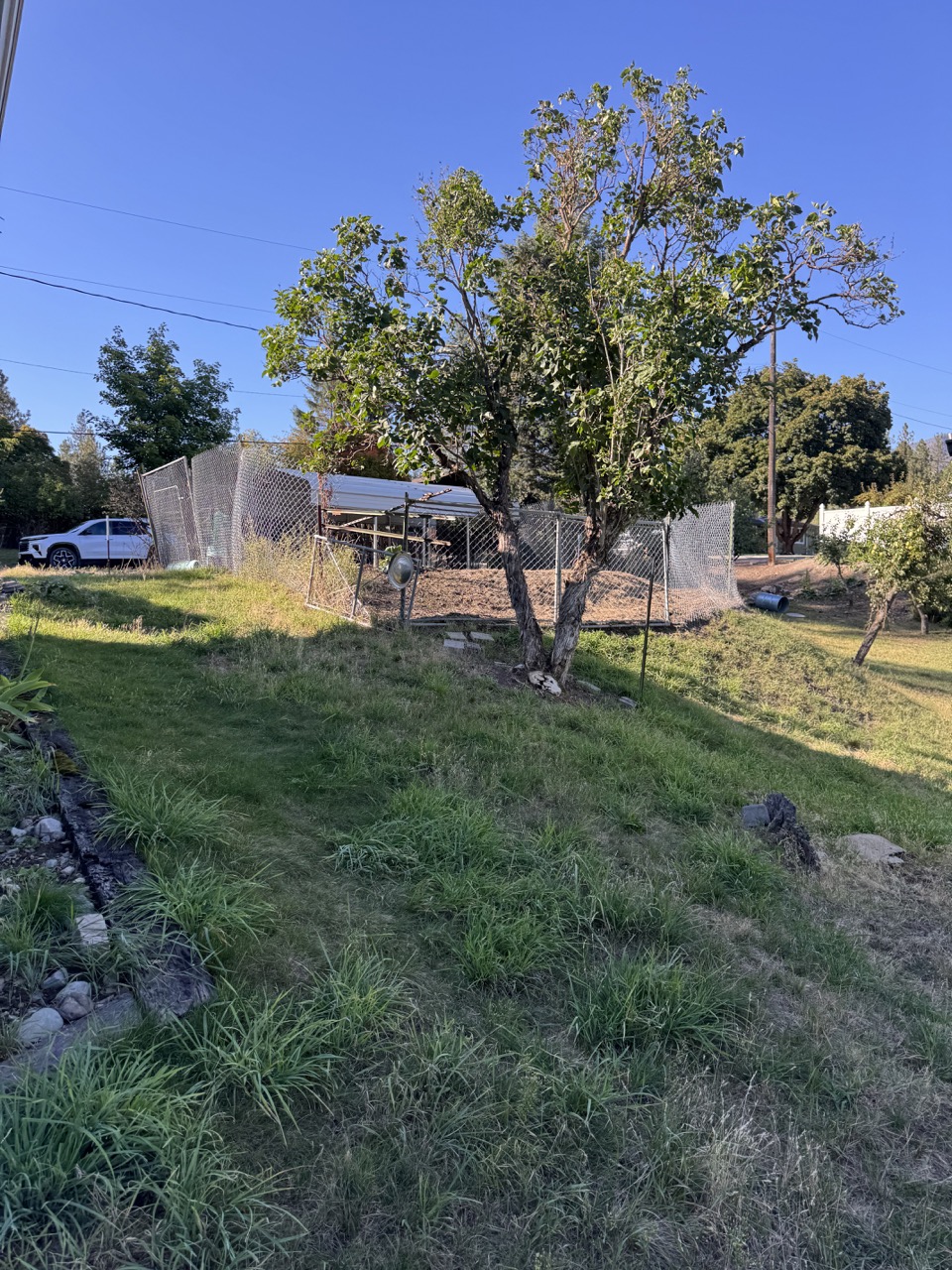 520 Maple Street Property Photo 26