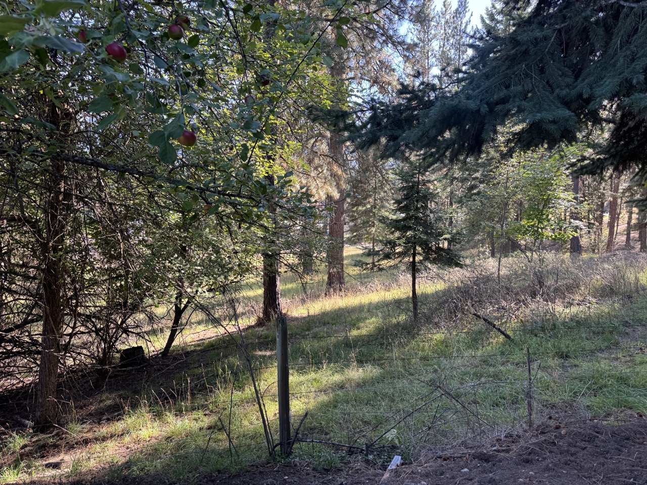 520 Maple Street Property Photo 36