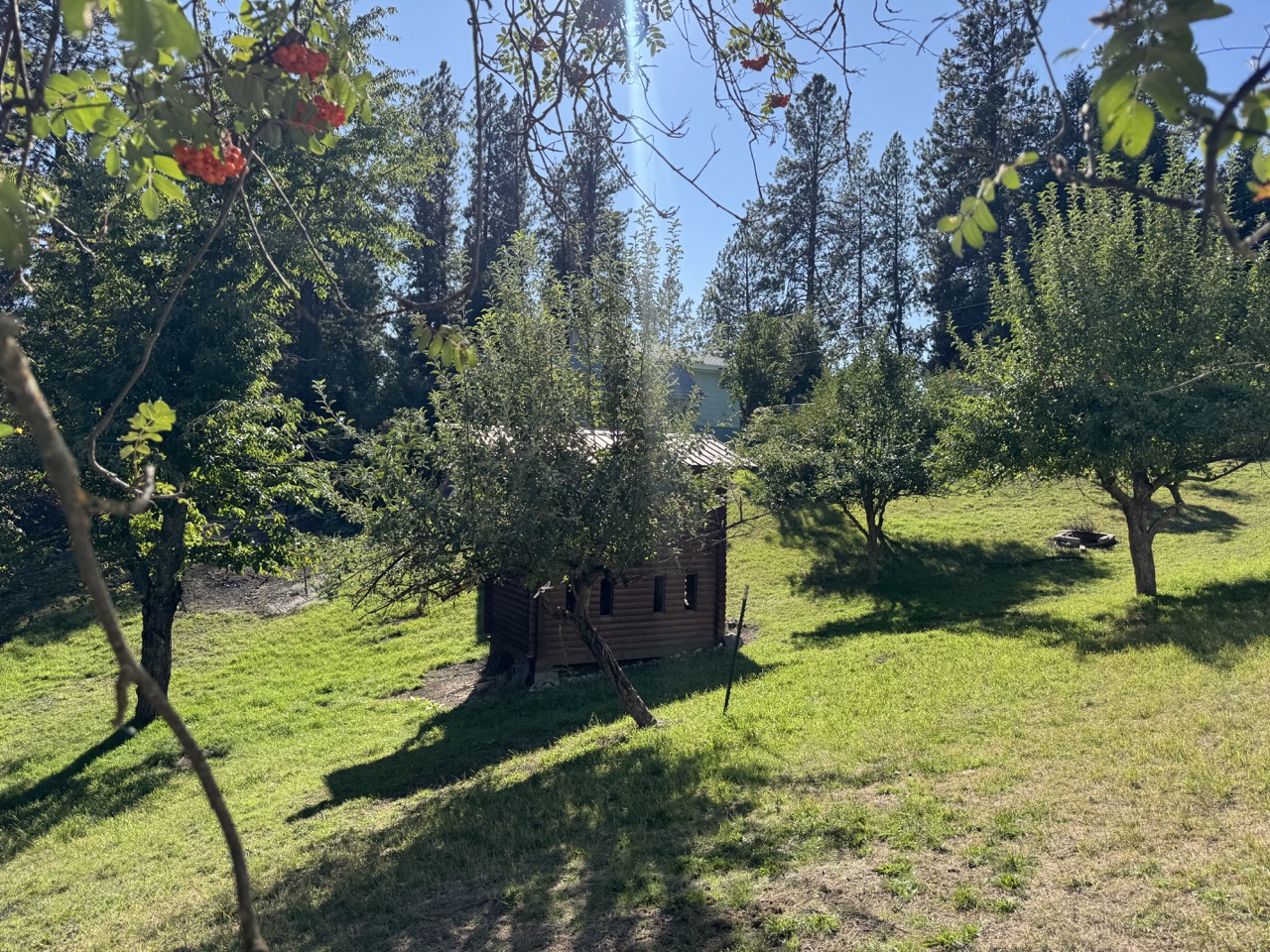 520 Maple Street Property Photo 50