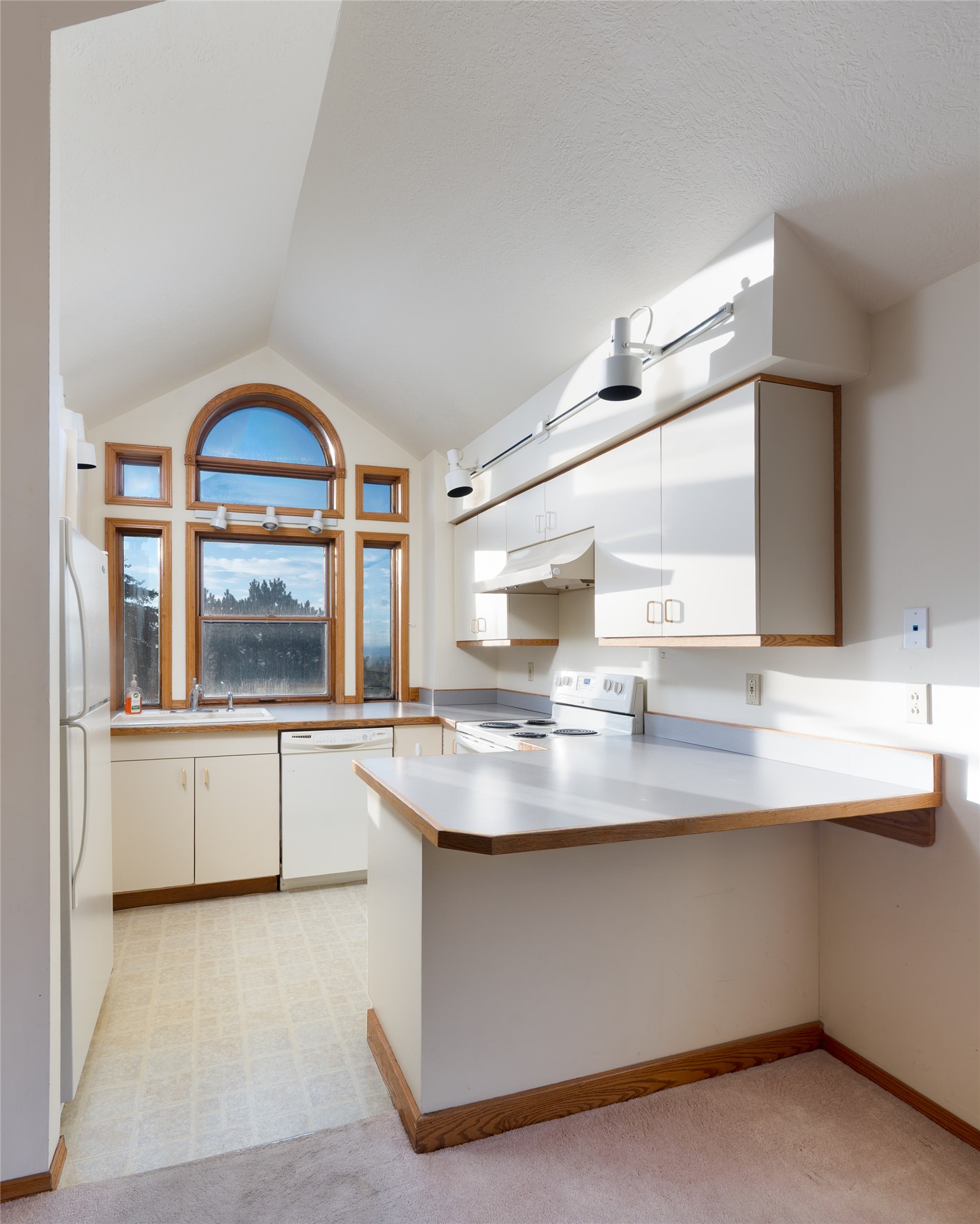 8855 Sypes Canyon Road Property Photo 17