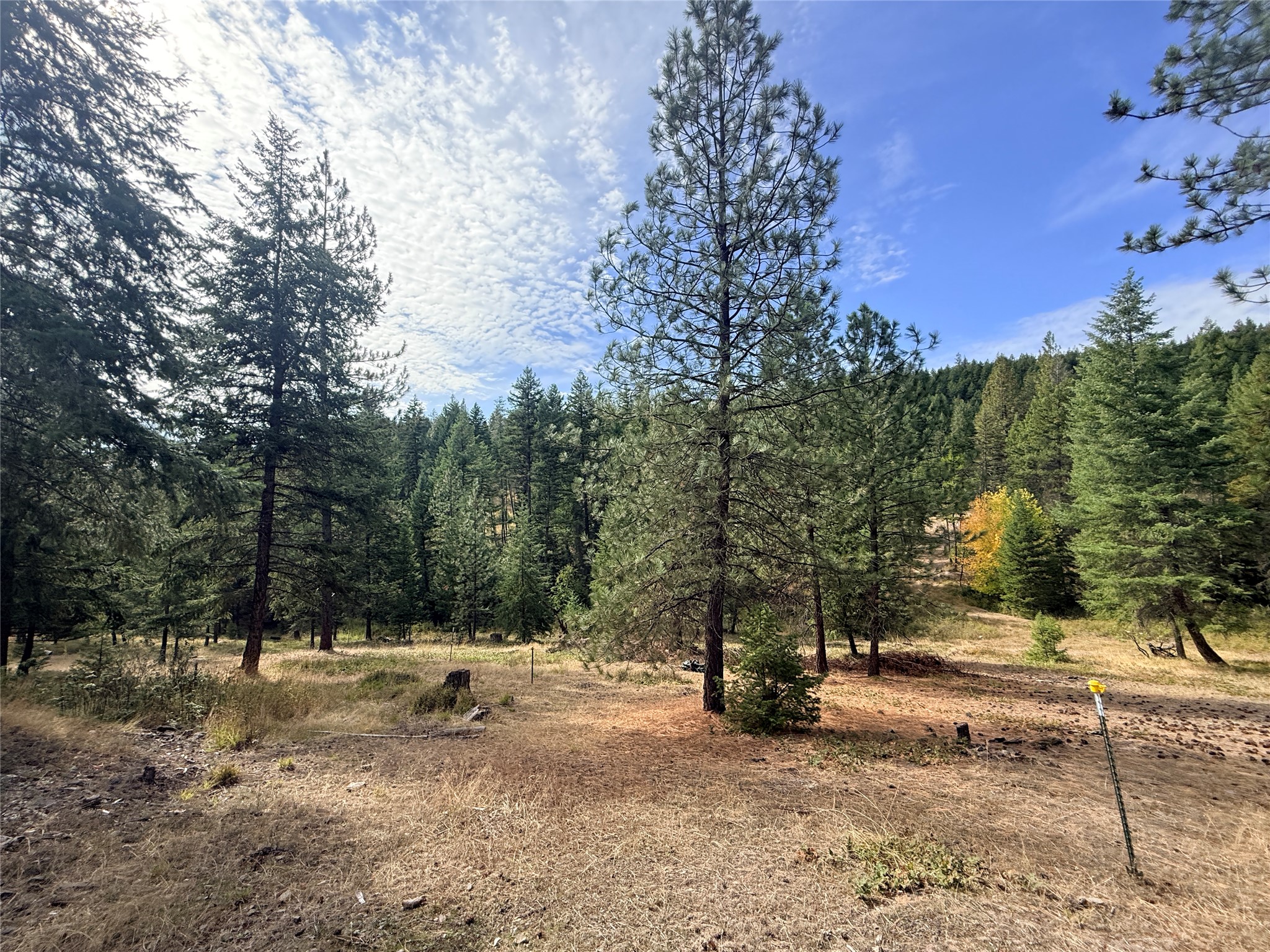 173 Cedar Creek Road Property Photo 1