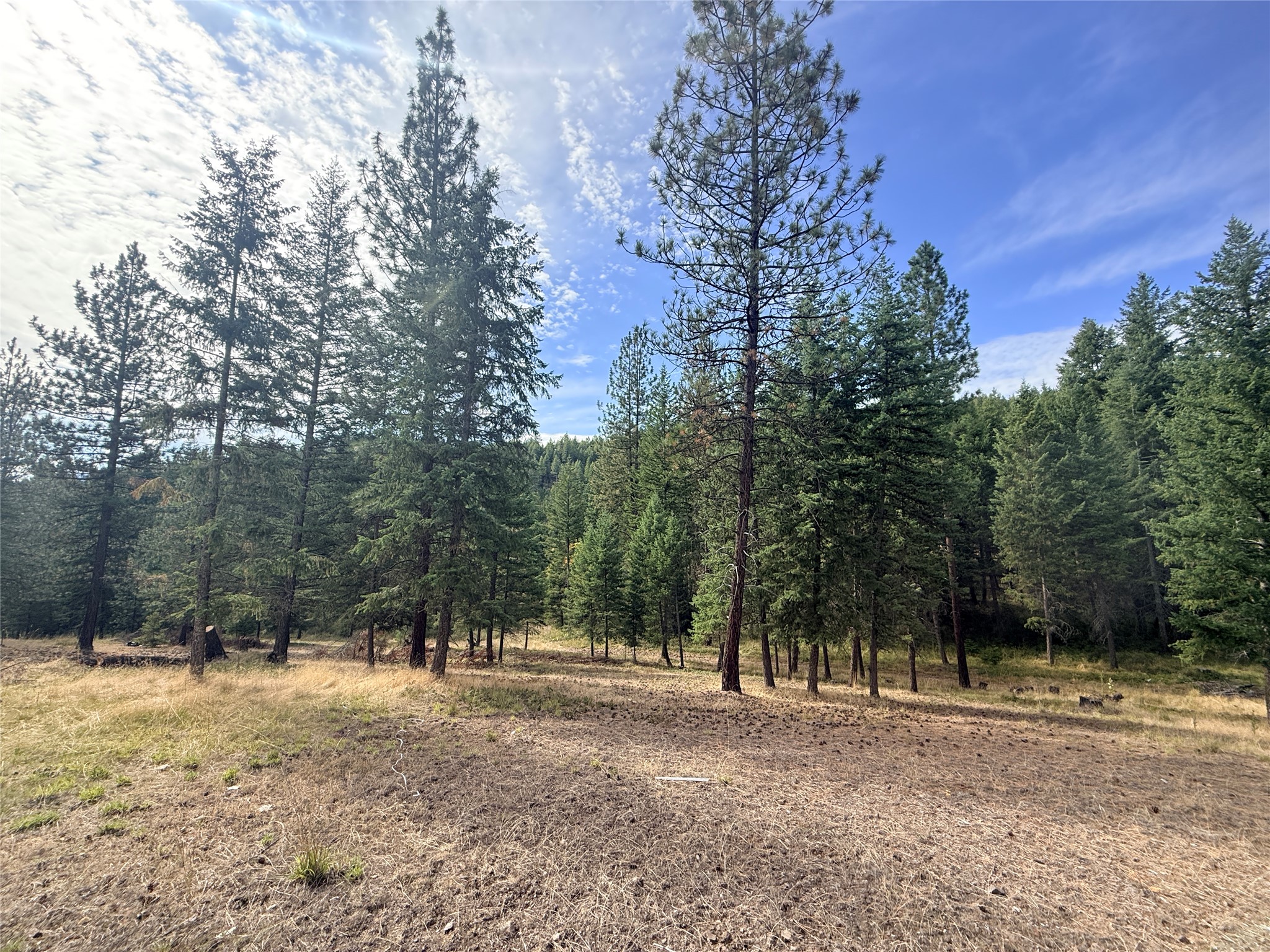 173 Cedar Creek Road Property Photo 3