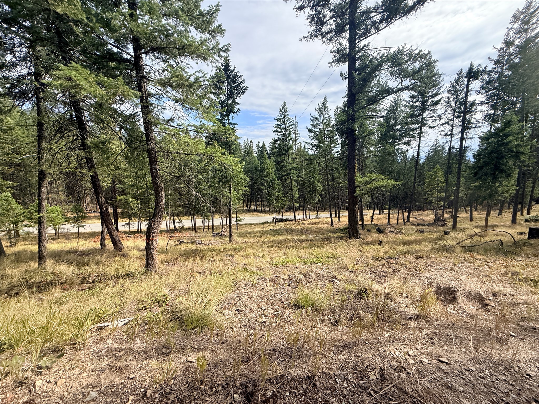 173 Cedar Creek Road Property Photo 10