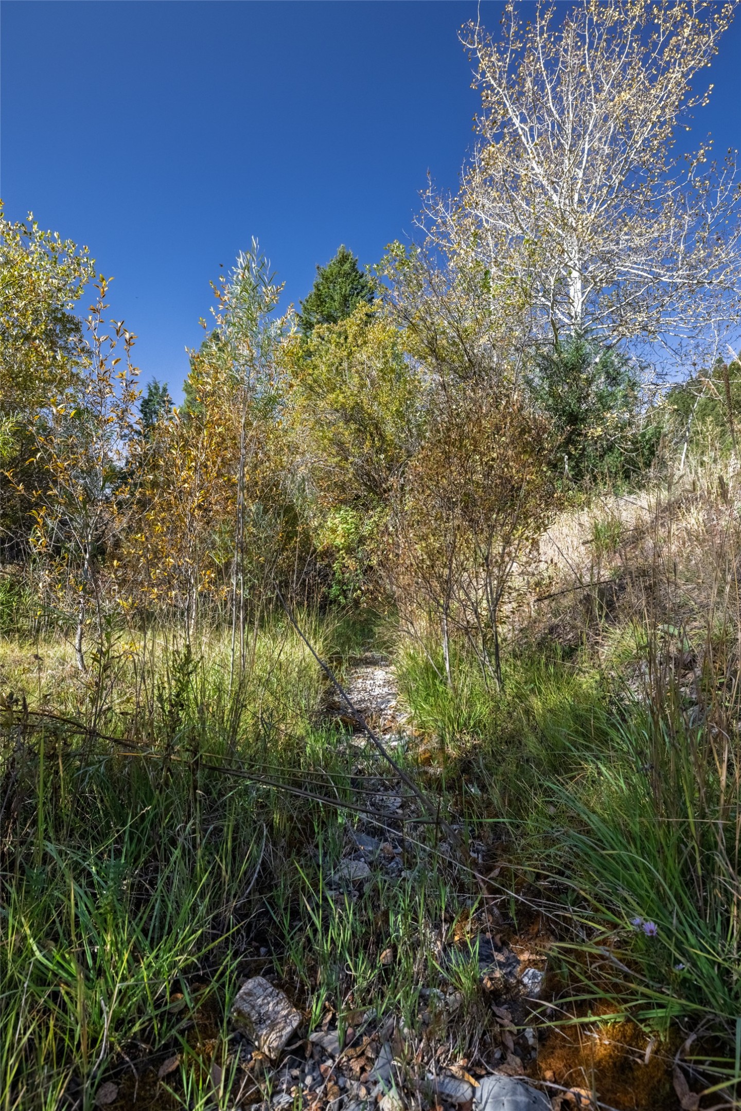 601 Whites Gulch Road Property Photo 35