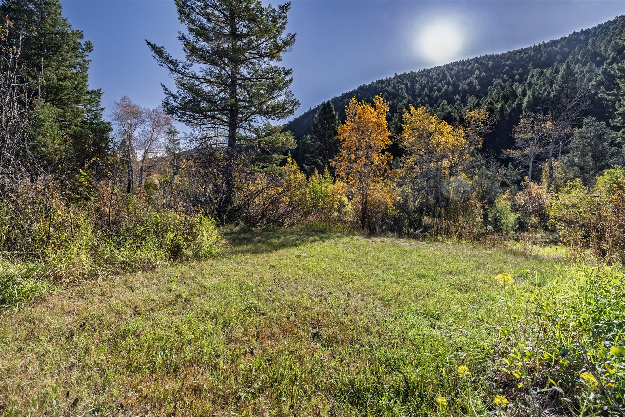 601 Whites Gulch Road Property Photo 37