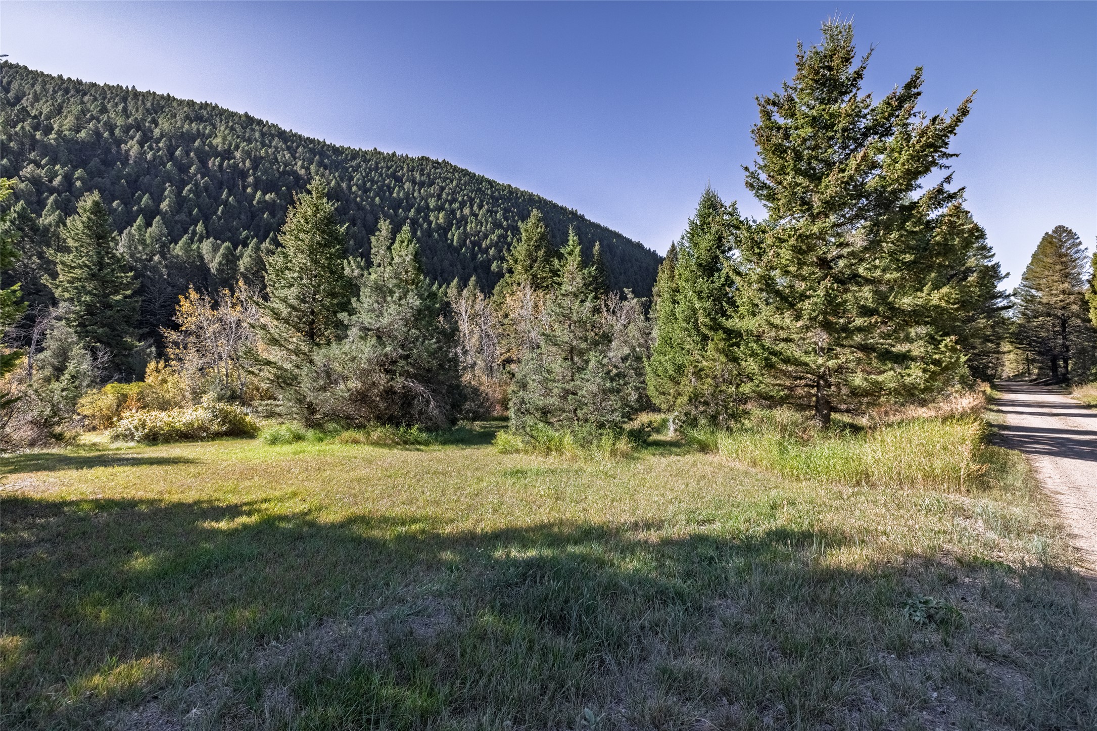 601 Whites Gulch Road Property Photo 38