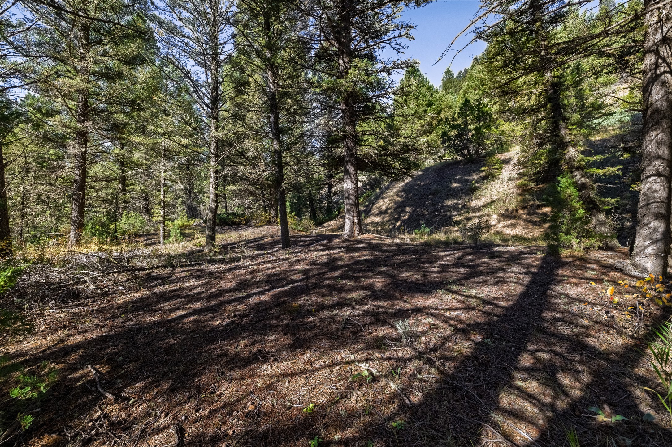 601 Whites Gulch Road Property Photo 40