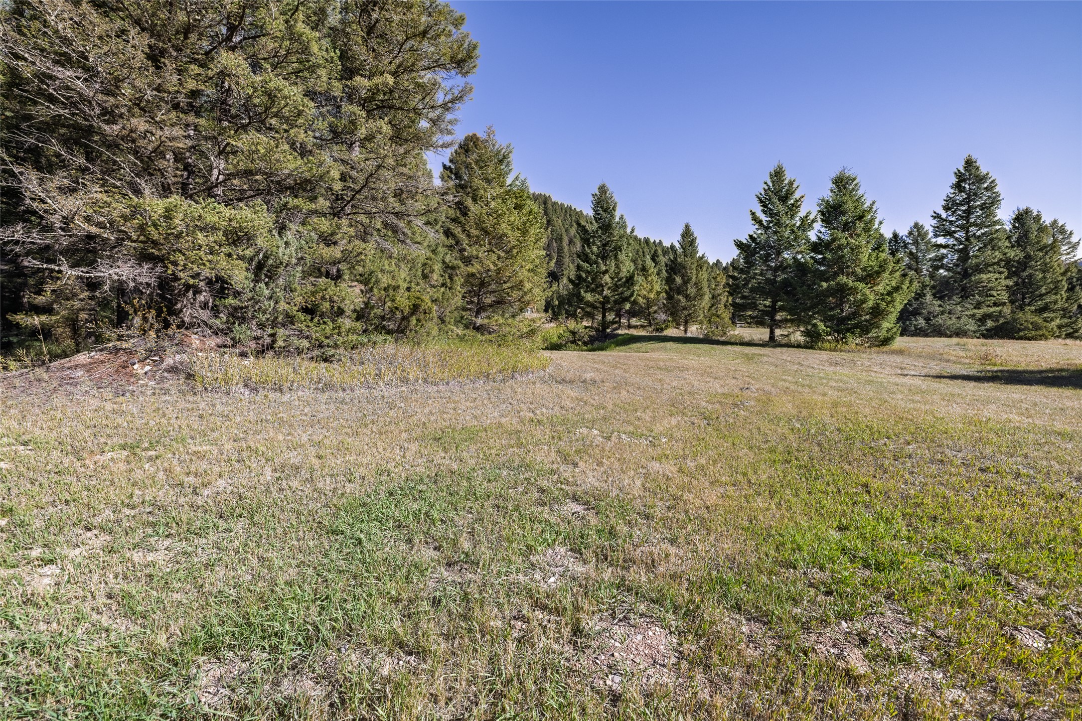 601 Whites Gulch Road Property Photo 42