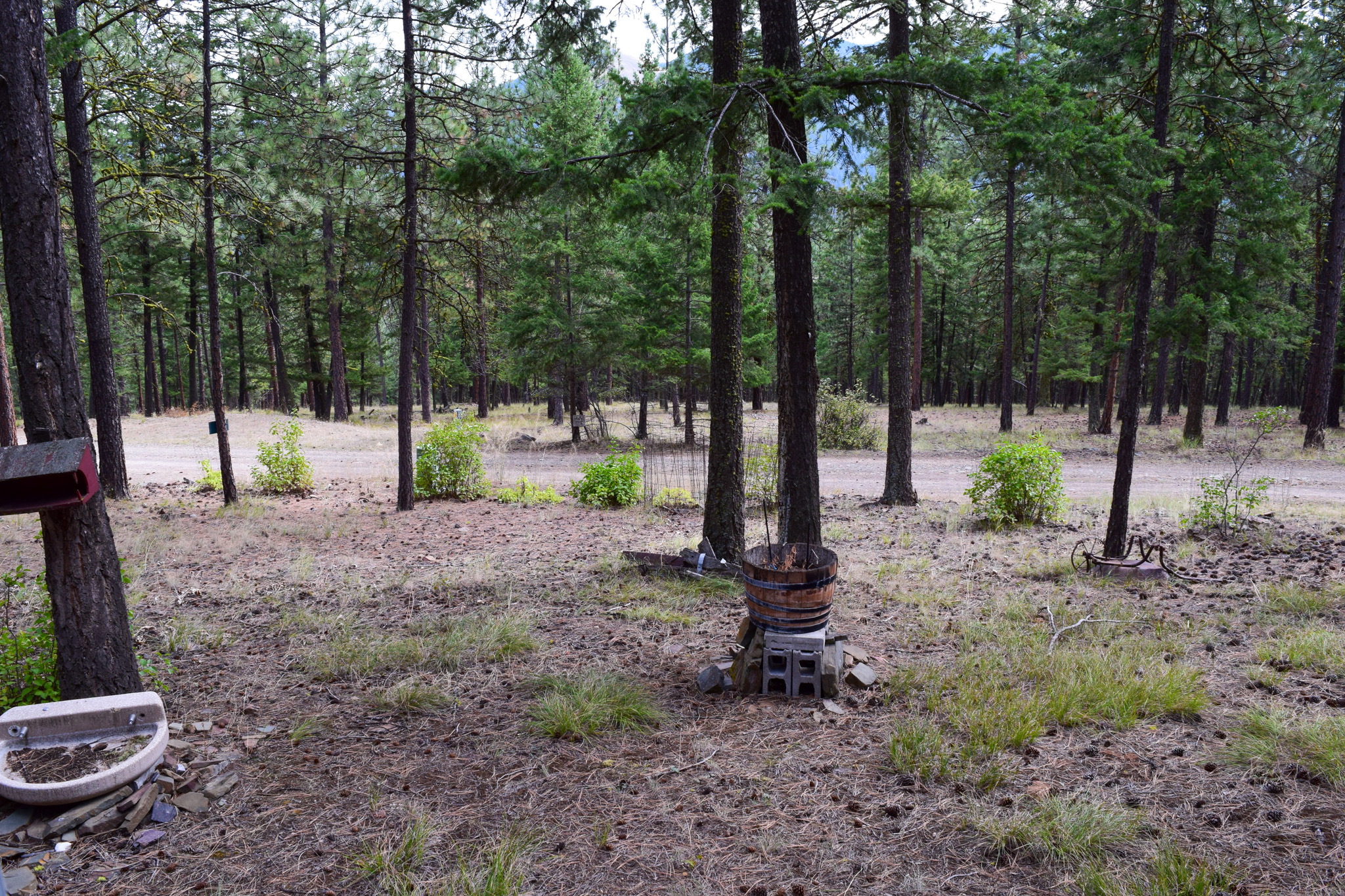 15384 Rosco Road Property Photo 18