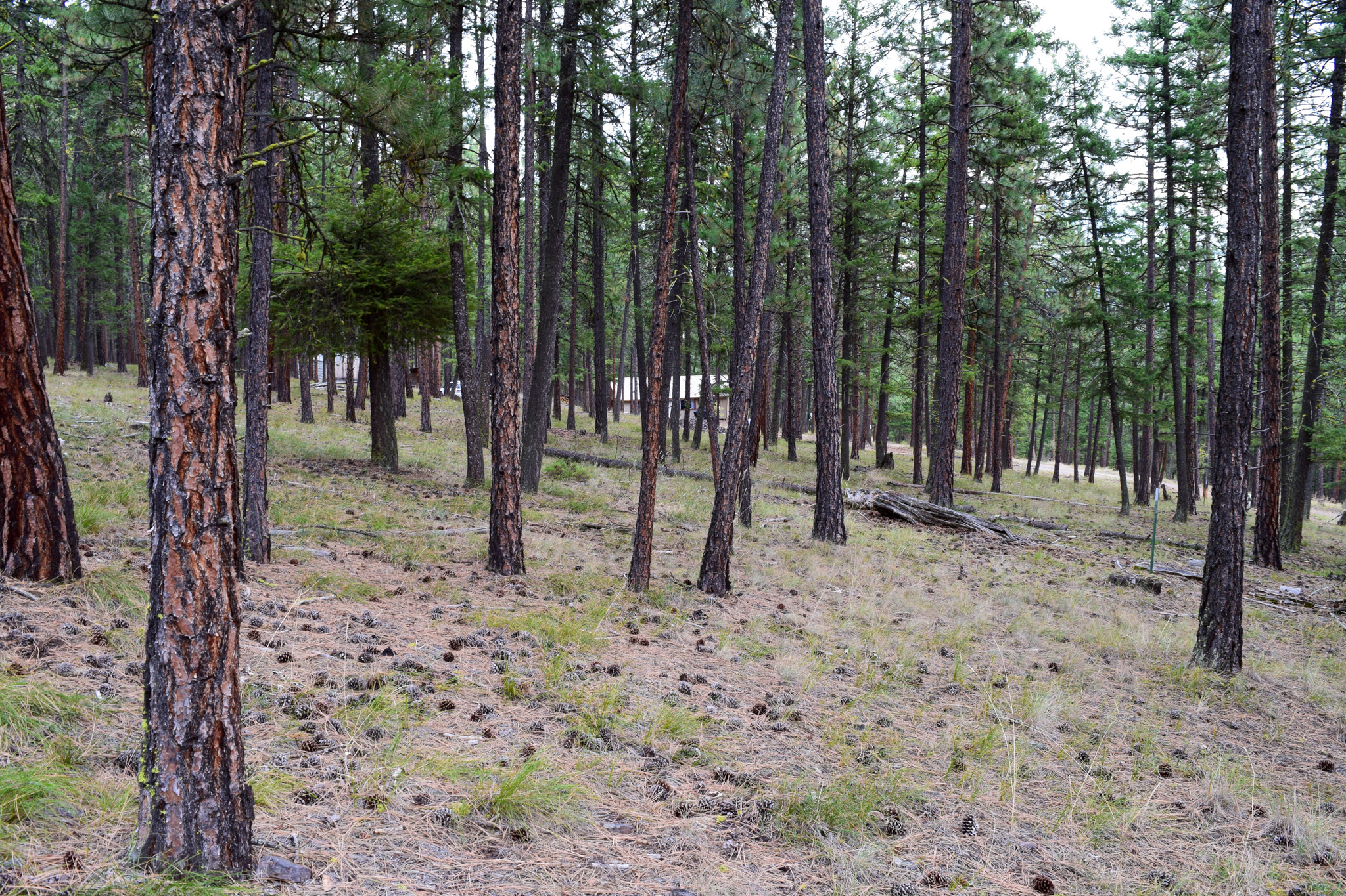 15384 Rosco Road Property Photo 23