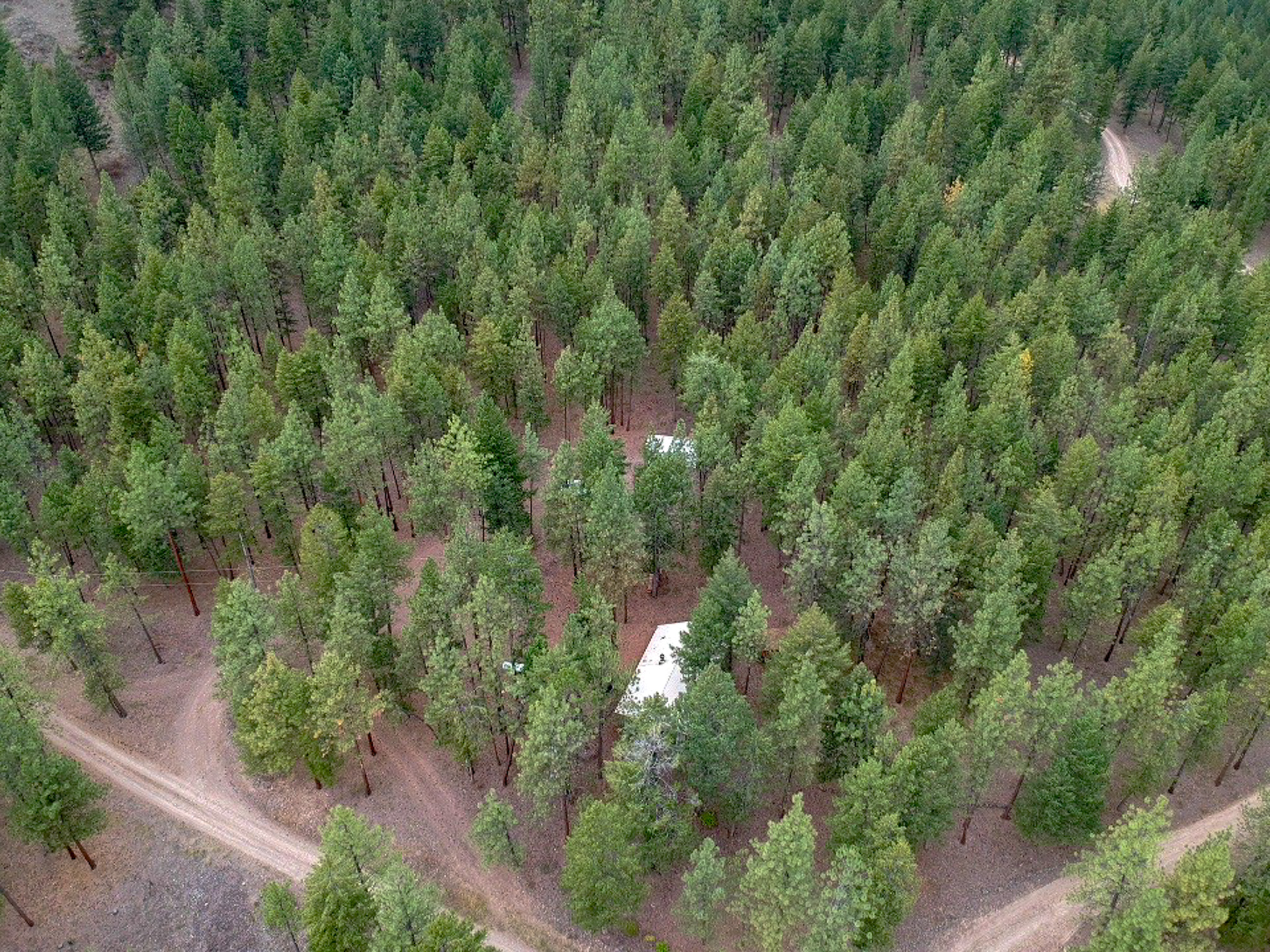 15384 Rosco Road Property Photo 26