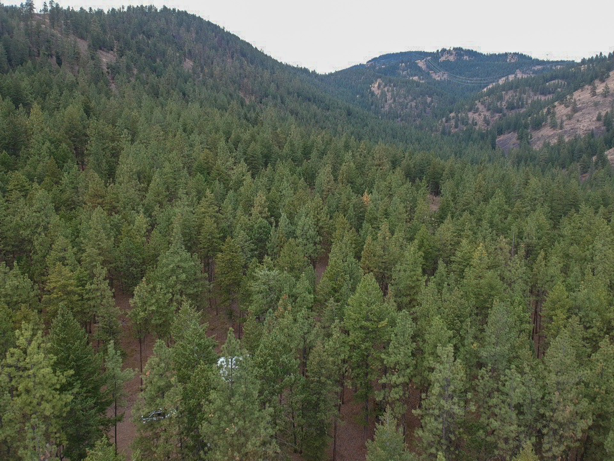 15384 Rosco Road Property Photo 27