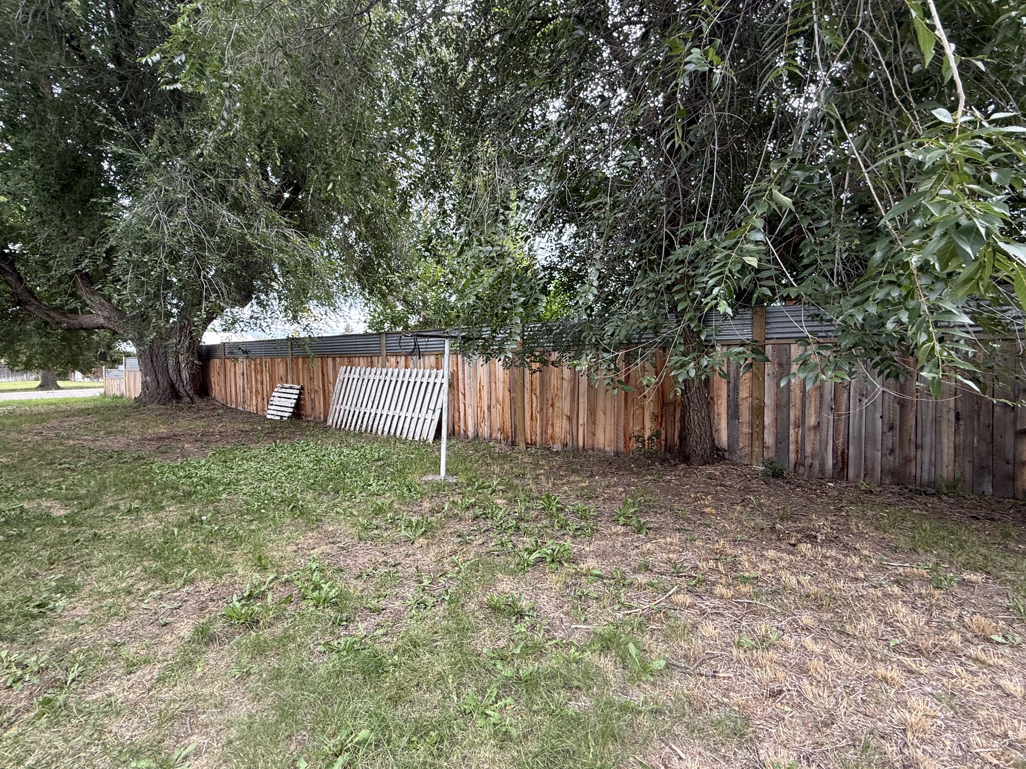 117 Daly Avenue Property Photo 5