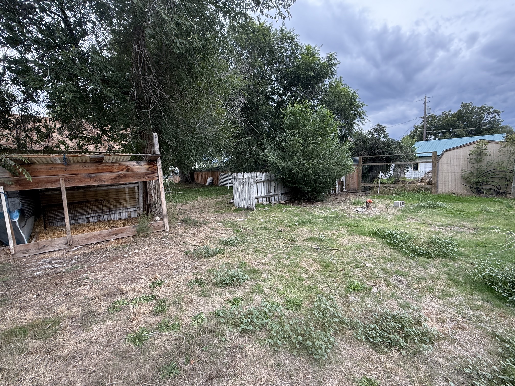 117 Daly Avenue Property Photo 6
