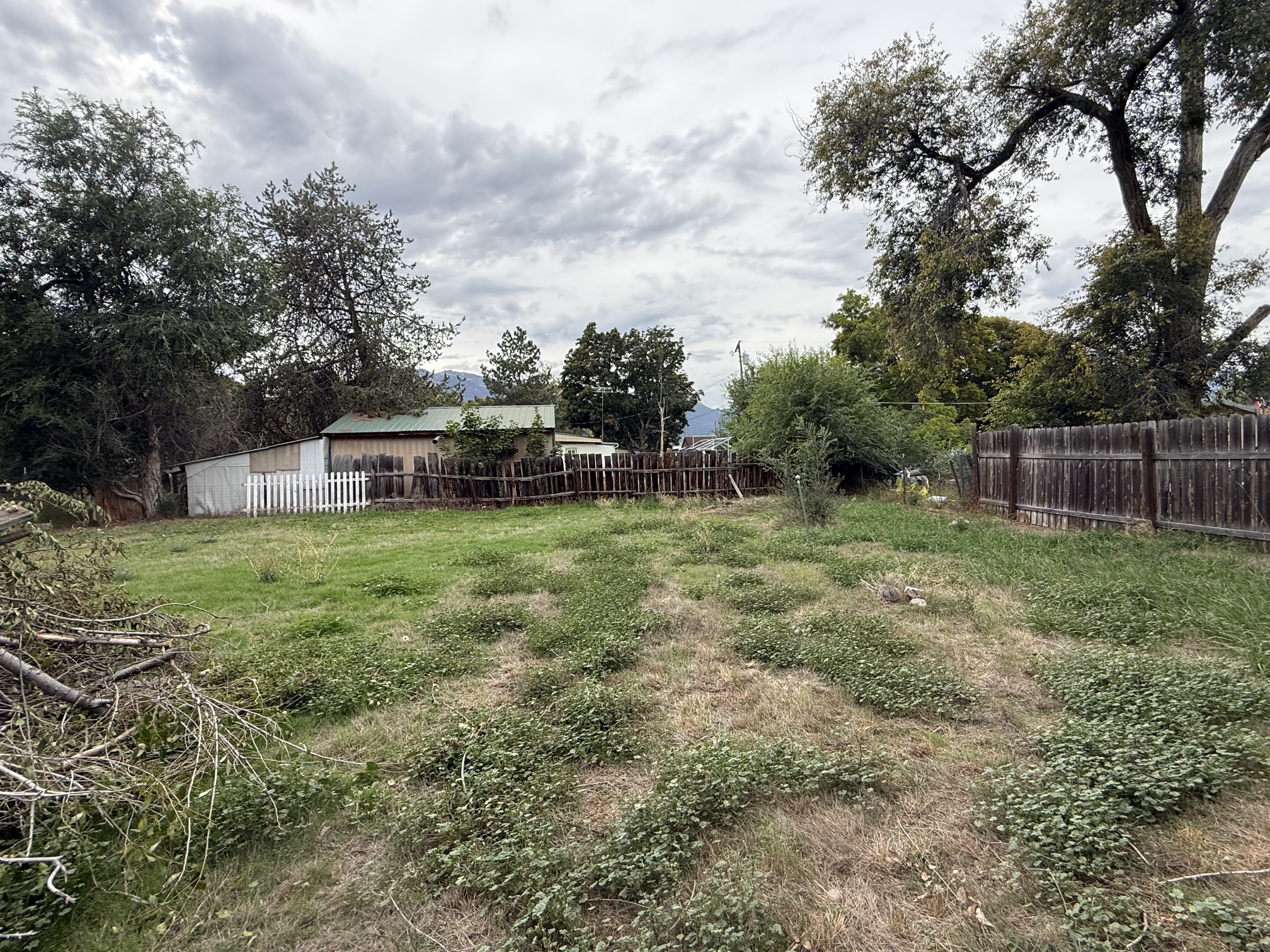 117 Daly Avenue Property Photo 7