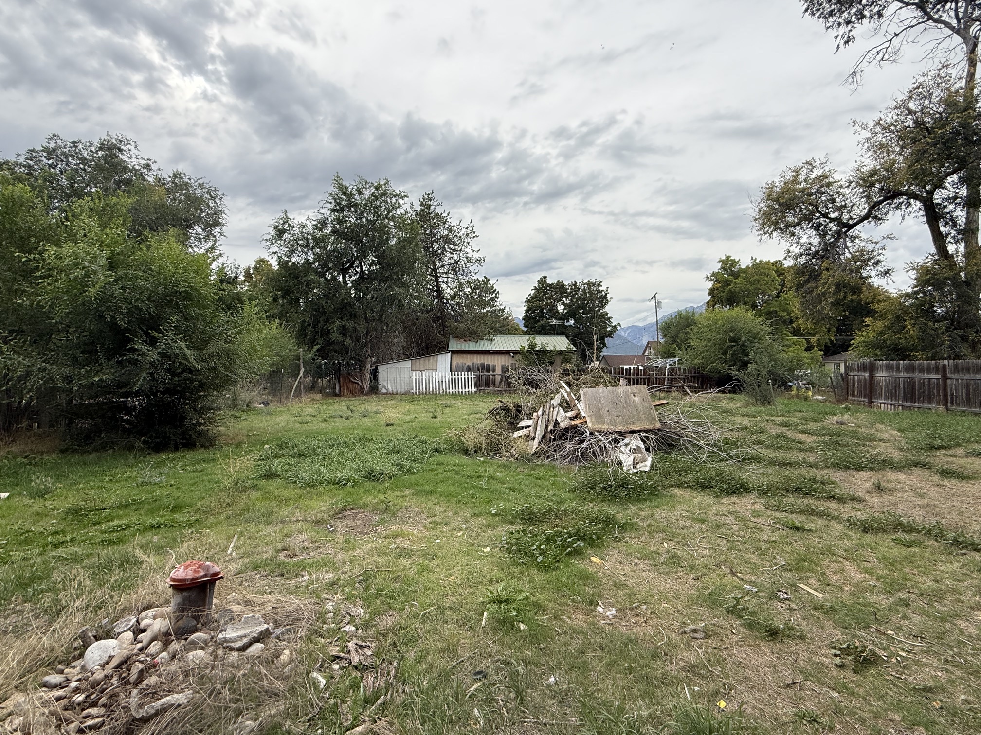 117 Daly Avenue Property Photo 8