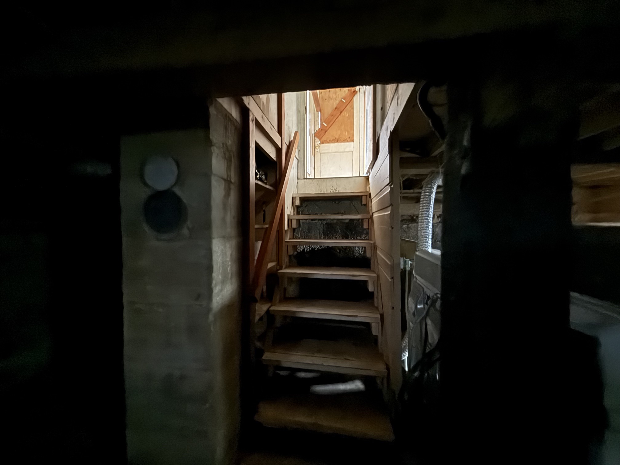 117 Daly Avenue Property Photo 23