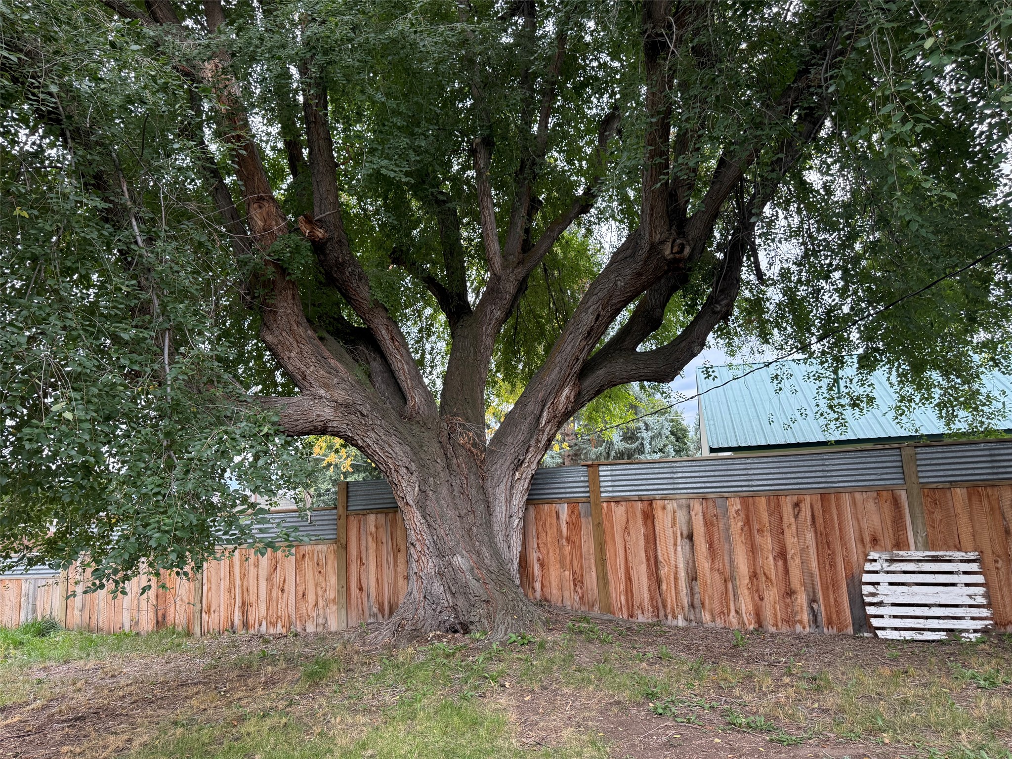 117 Daly Avenue Property Photo 26