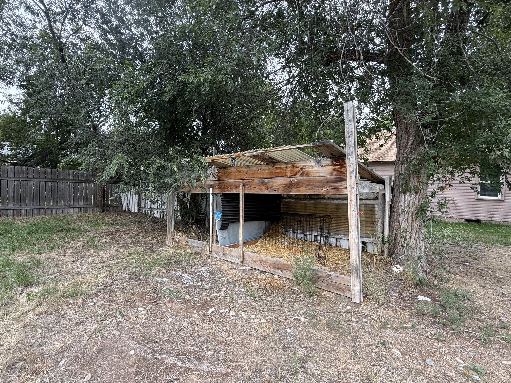 117 Daly Avenue Property Photo 28