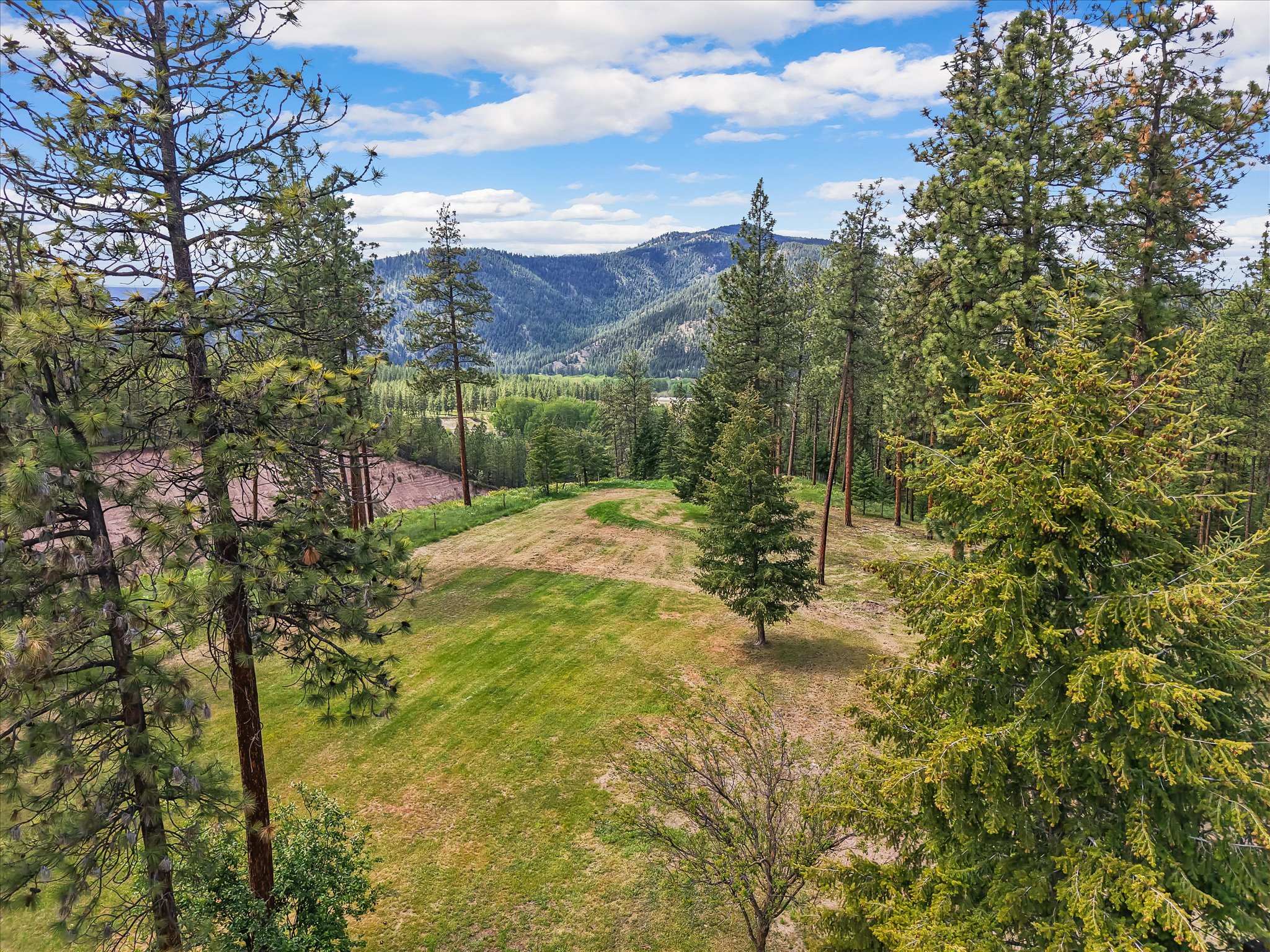 15650 Ruby Ray Lane Property Photo 42