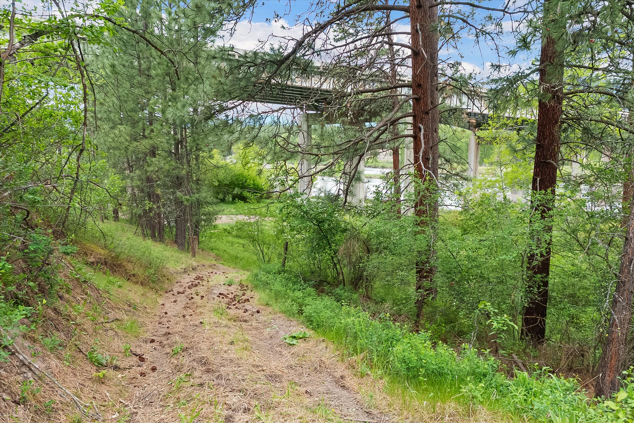 15650 Ruby Ray Lane Property Photo 45