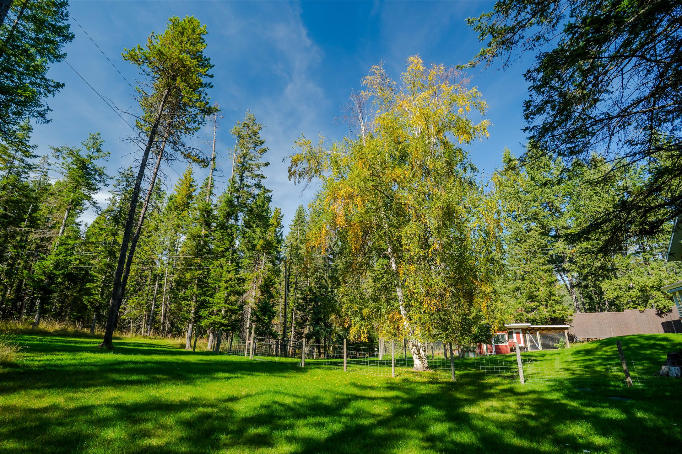 4926 Foothill Road Property Photo 69
