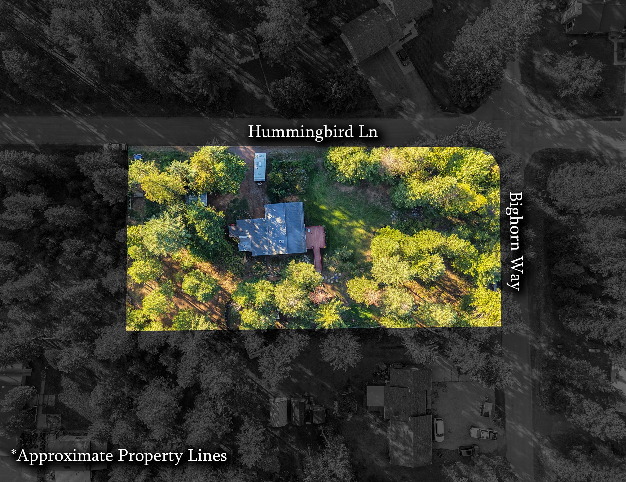 131 Hummingbird Lane Property Photo 15